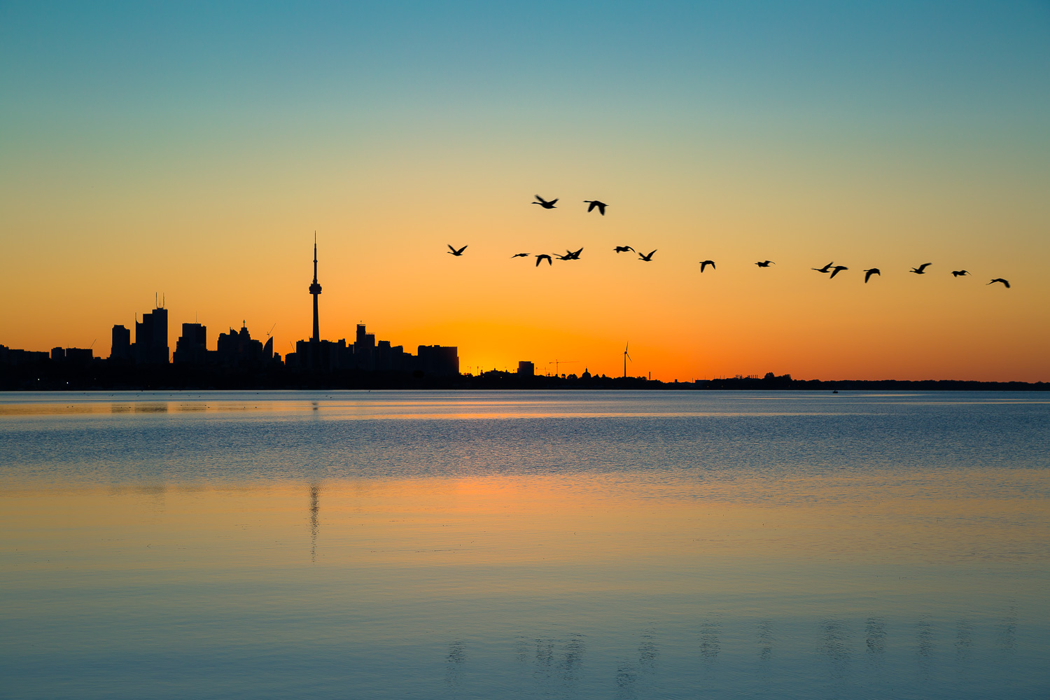 Toronto Sunrise