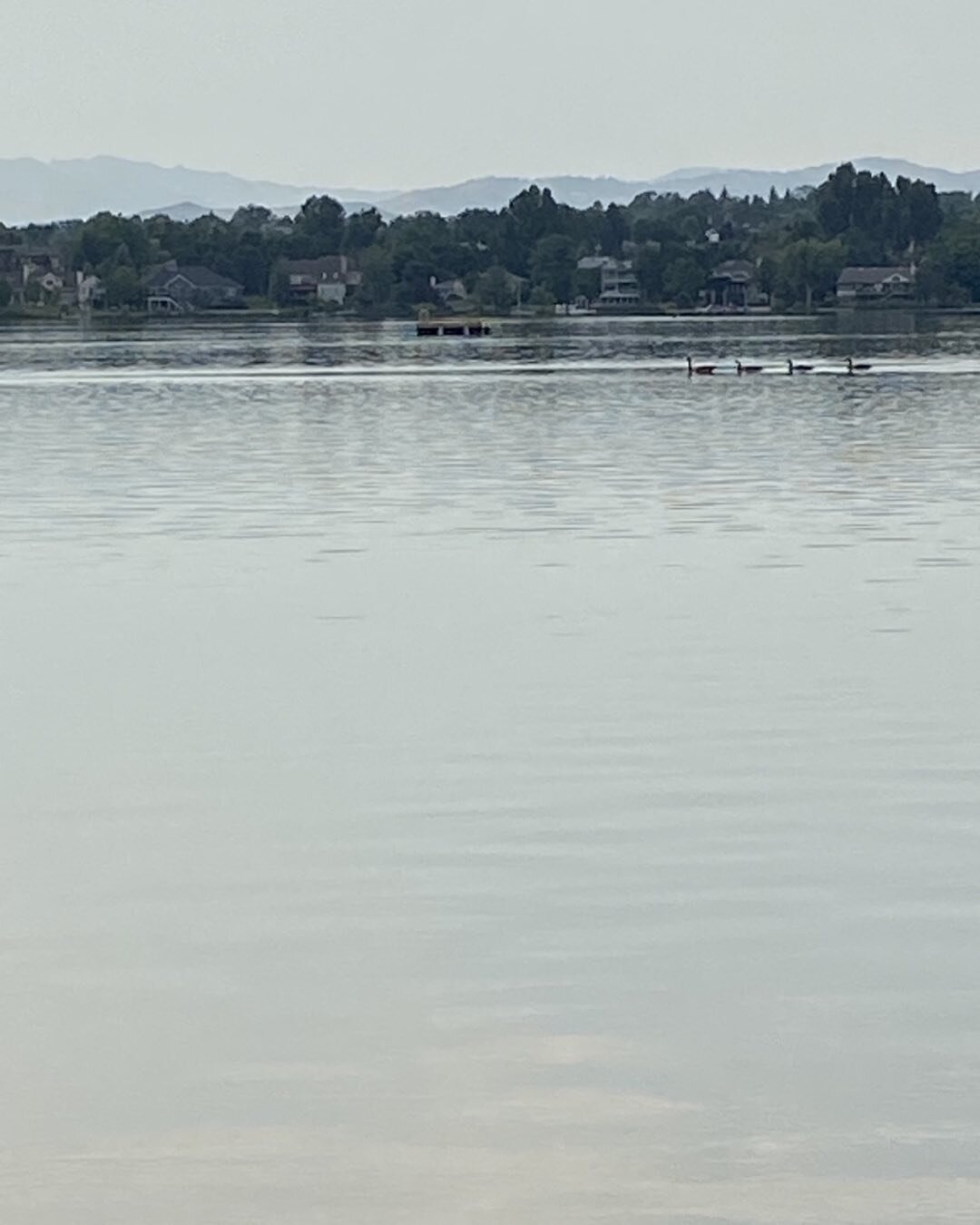 Beautiful day for a paddle. Geese and people.