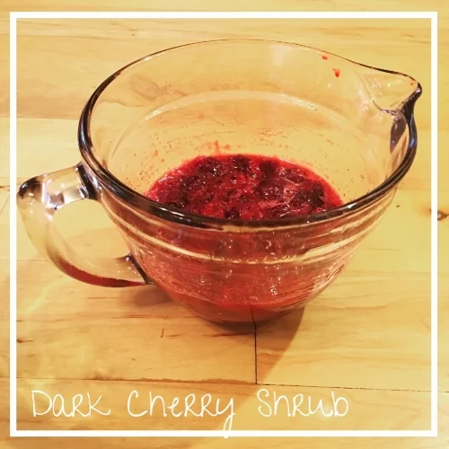 Homemade Shrub -- Drinking Vinegars