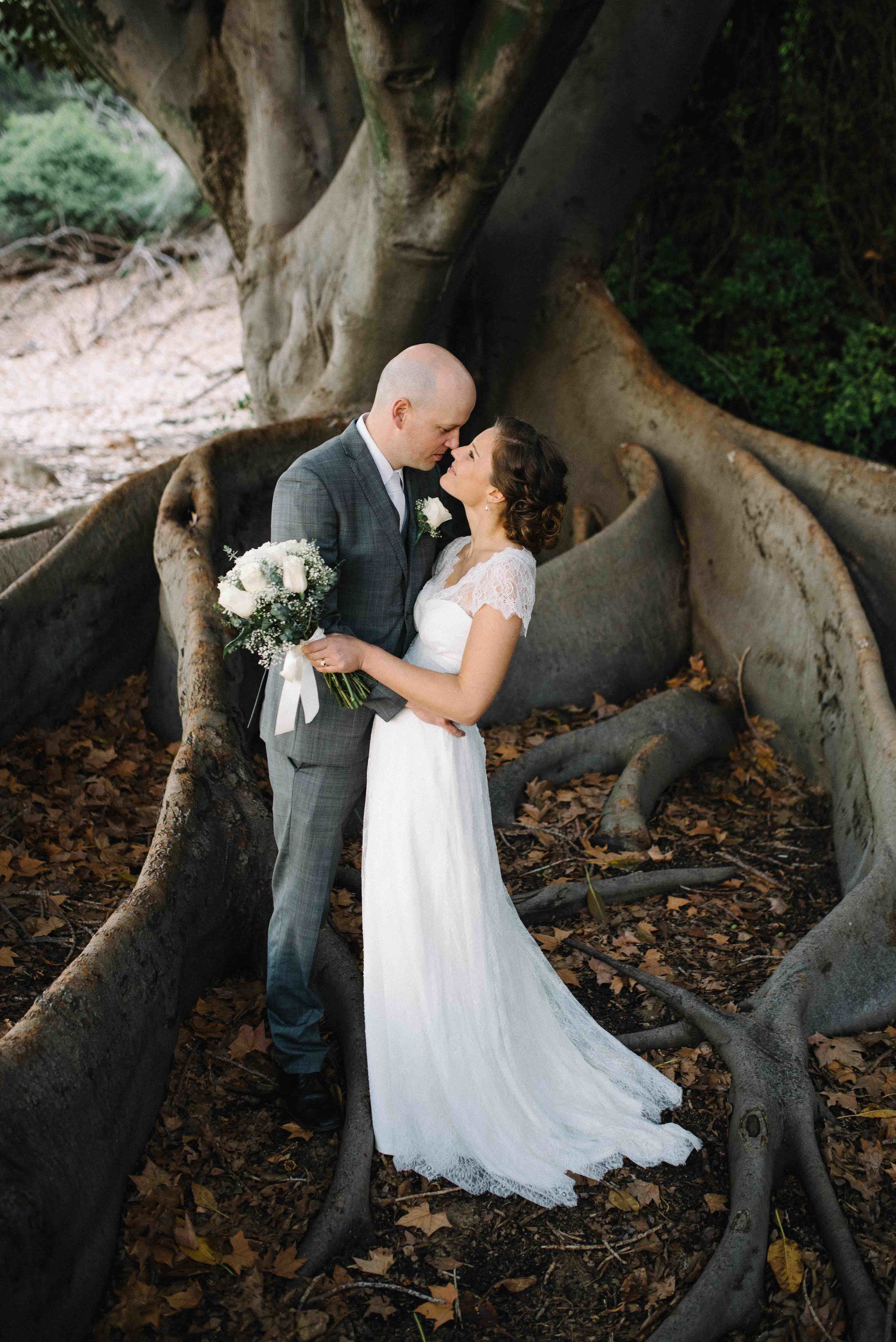 64-fig tree perth mounts bay road amanda afton.jpg