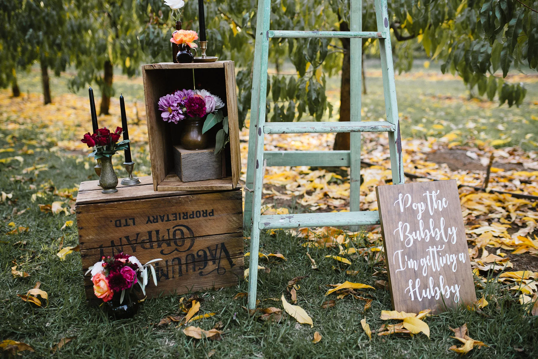 enchantedorchardshoot-146.jpg