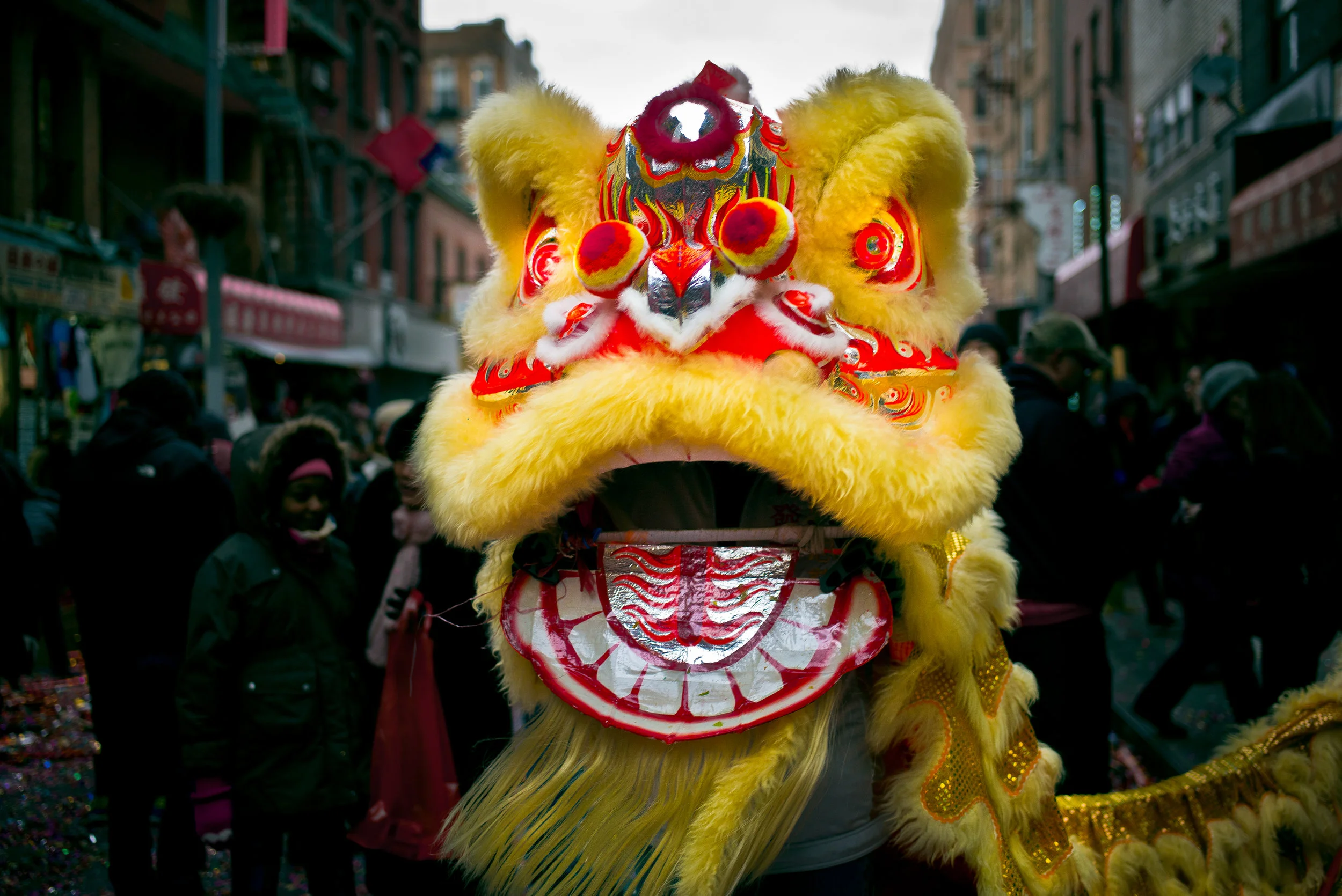 chinese new year 2017