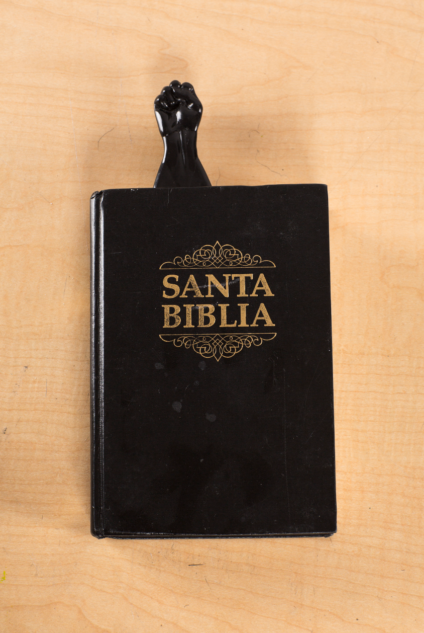 Santa Biblia, 2014