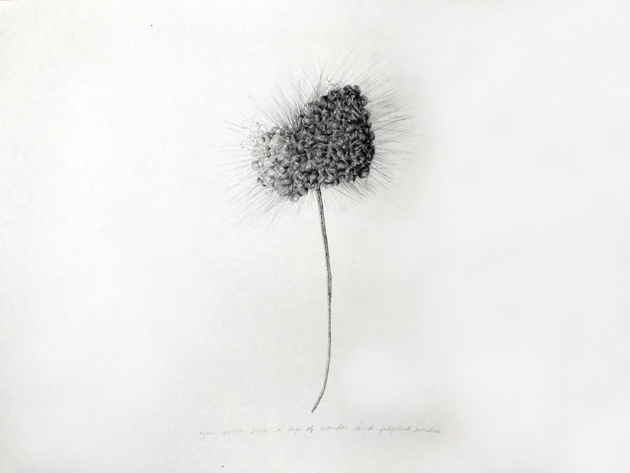   Your Life Will Be Filled With Wonder and Fulfilled Wishes  , 2017  pencil on paper, 13.4 x 19.7 in.&nbsp; 