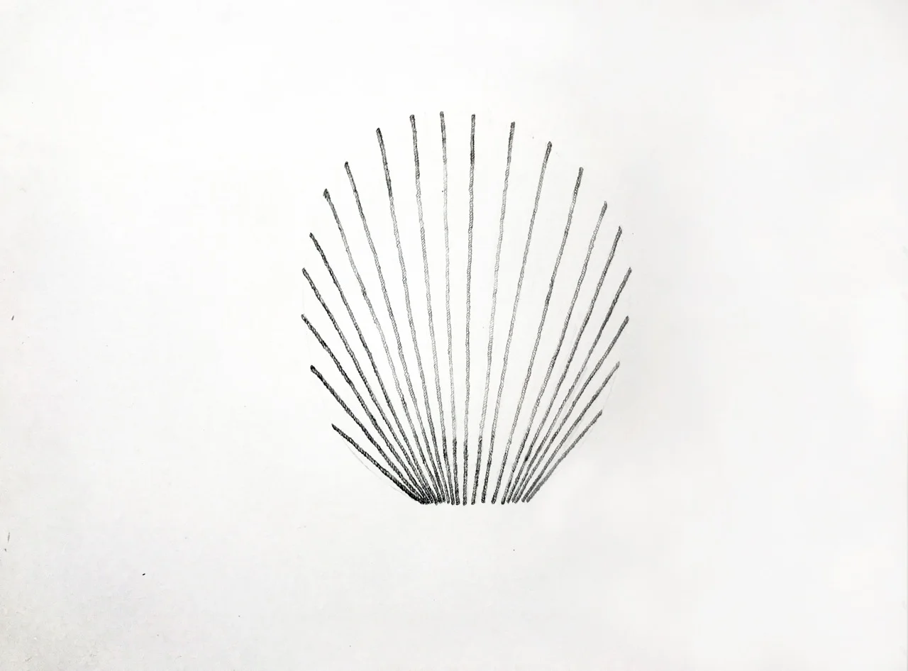    You Will Learn That Connection Are More Than They Appear,   2017  pencil on paper, 13.4 x 19.7 in. 