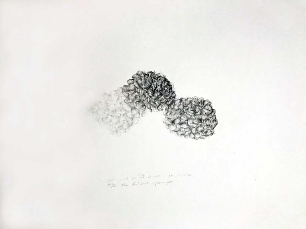    You Will Be More Sensitive To Climate Than The Hydrangea  , 2017  pencil on paper, 13.4 x 19.7 in.&nbsp; 