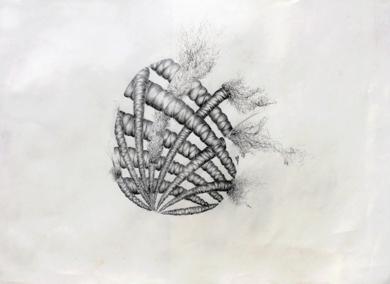    You Will Always See Possibility  , 2016&nbsp;  pencil on paper, 18 x 24 in.&nbsp; 