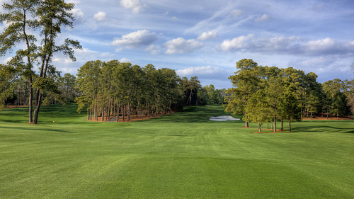 Golf fairway viewed from the tee