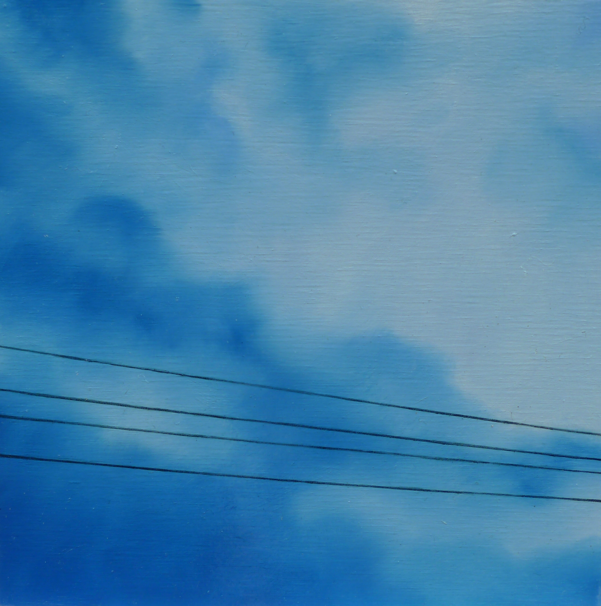 The American Experience