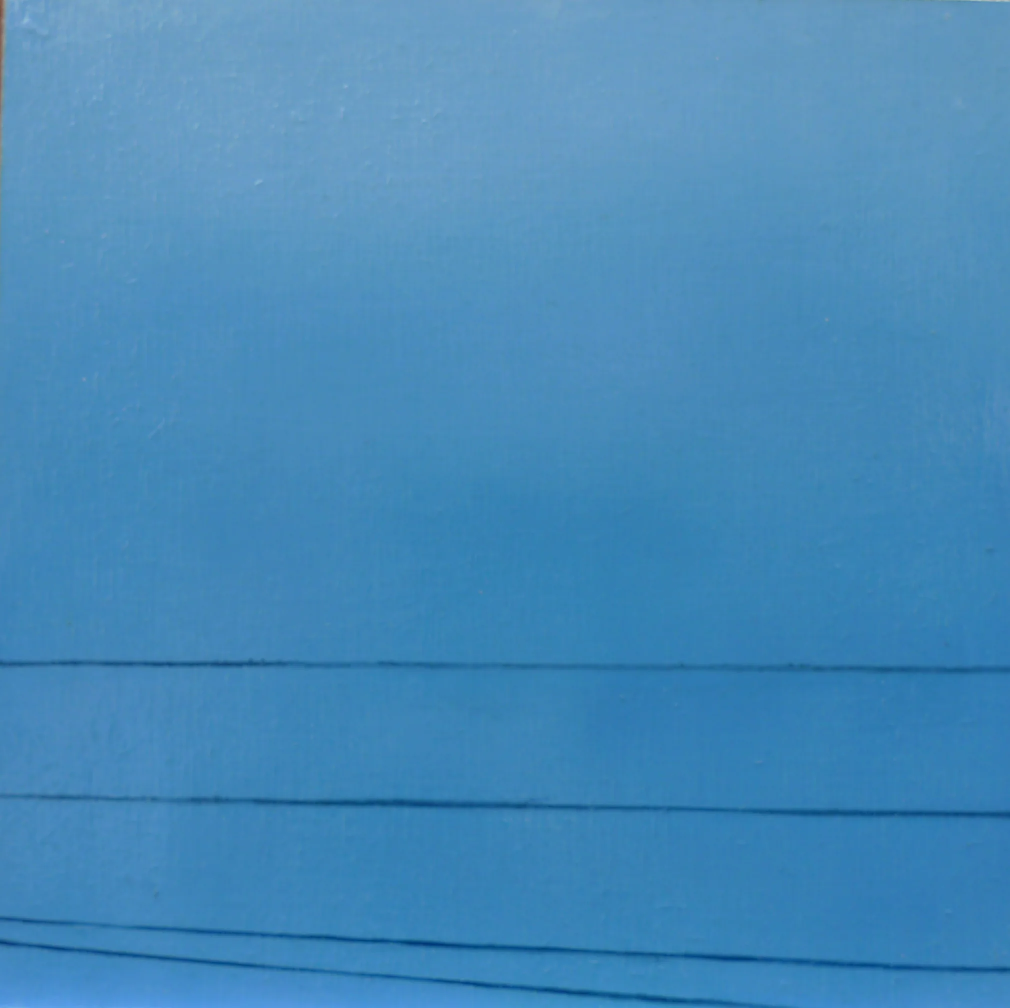 The American Experience