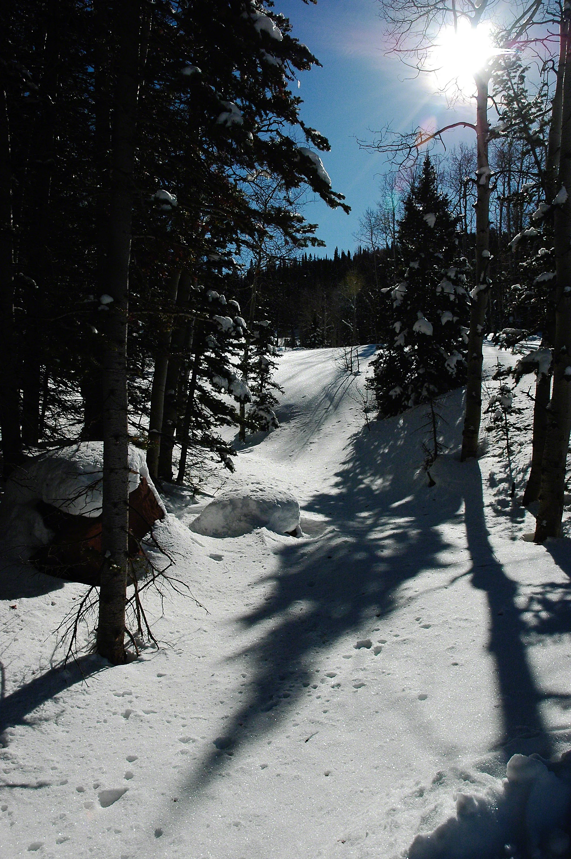 SLCSnowviewSEP2016.jpg