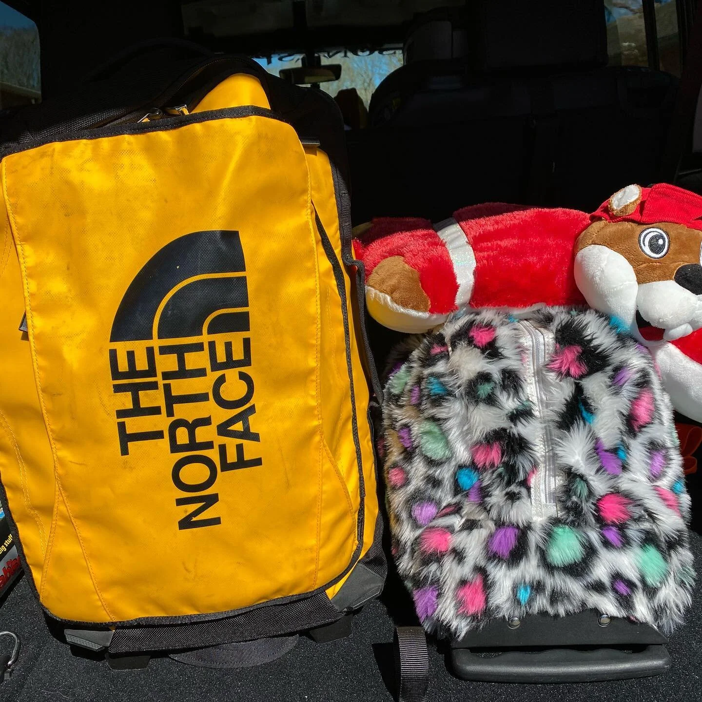 On our way to Houston TX for the weekend. Love having my forever travel partner with me. #americangirlstore #colorfactoryhouston #nasa