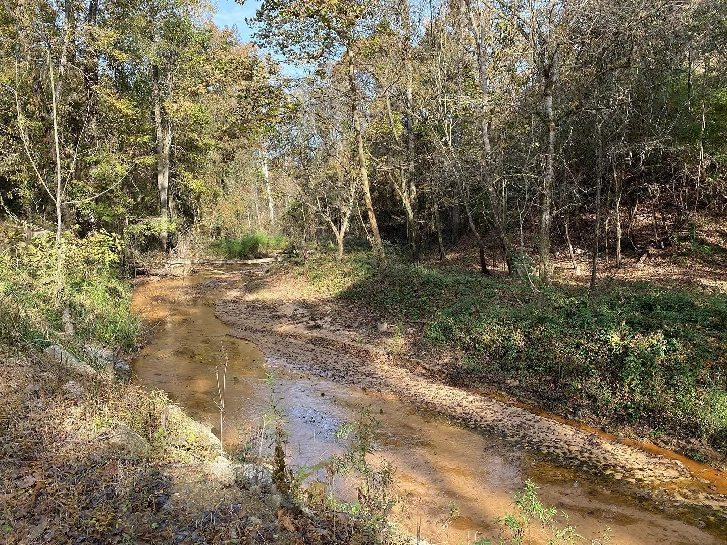 Nothing quite like home. #lousiana #stfrancisville #westfeliciana #nature #southernexplorers #offthebeatenpath
