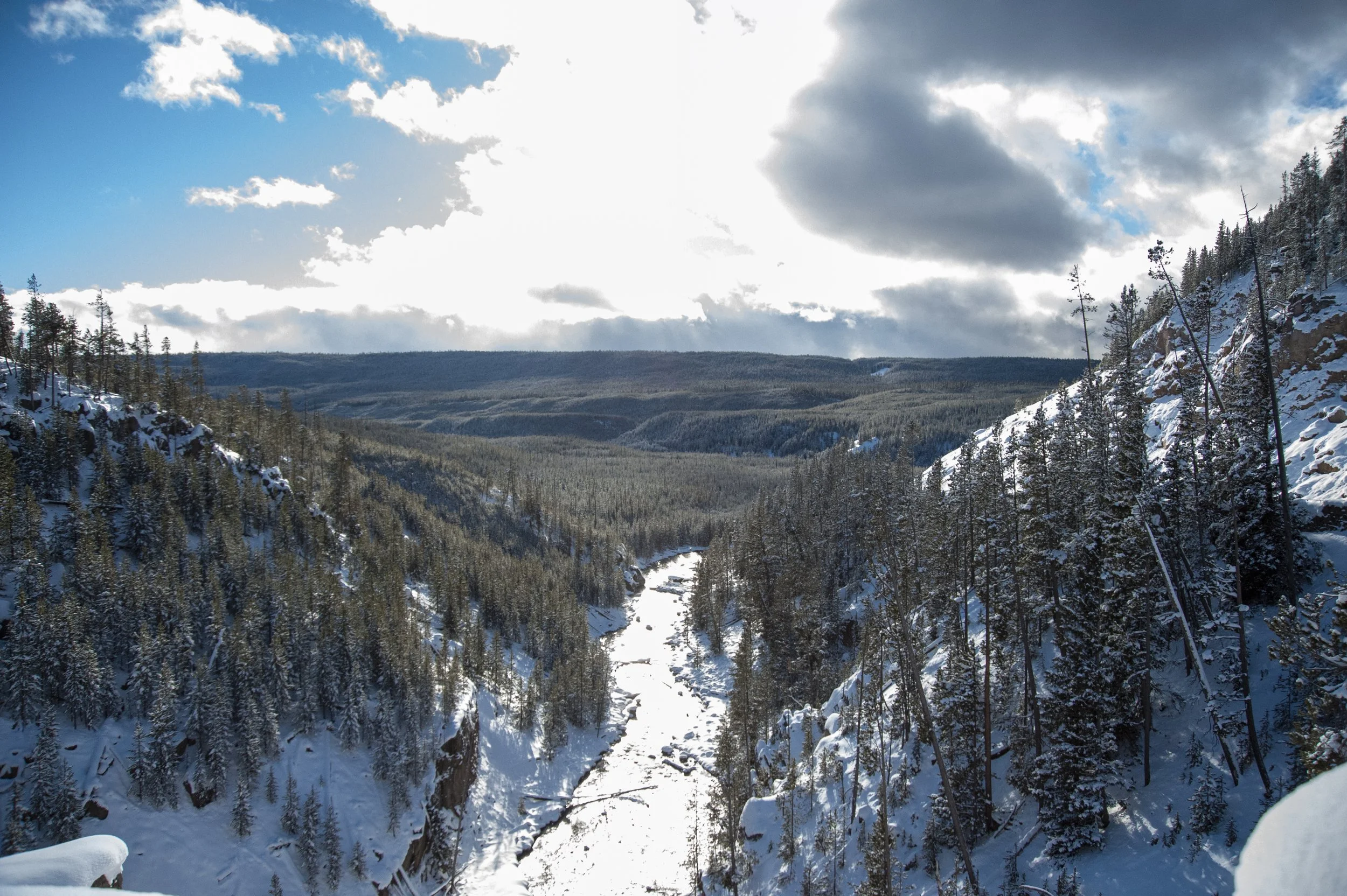 DSC_6690.jpg