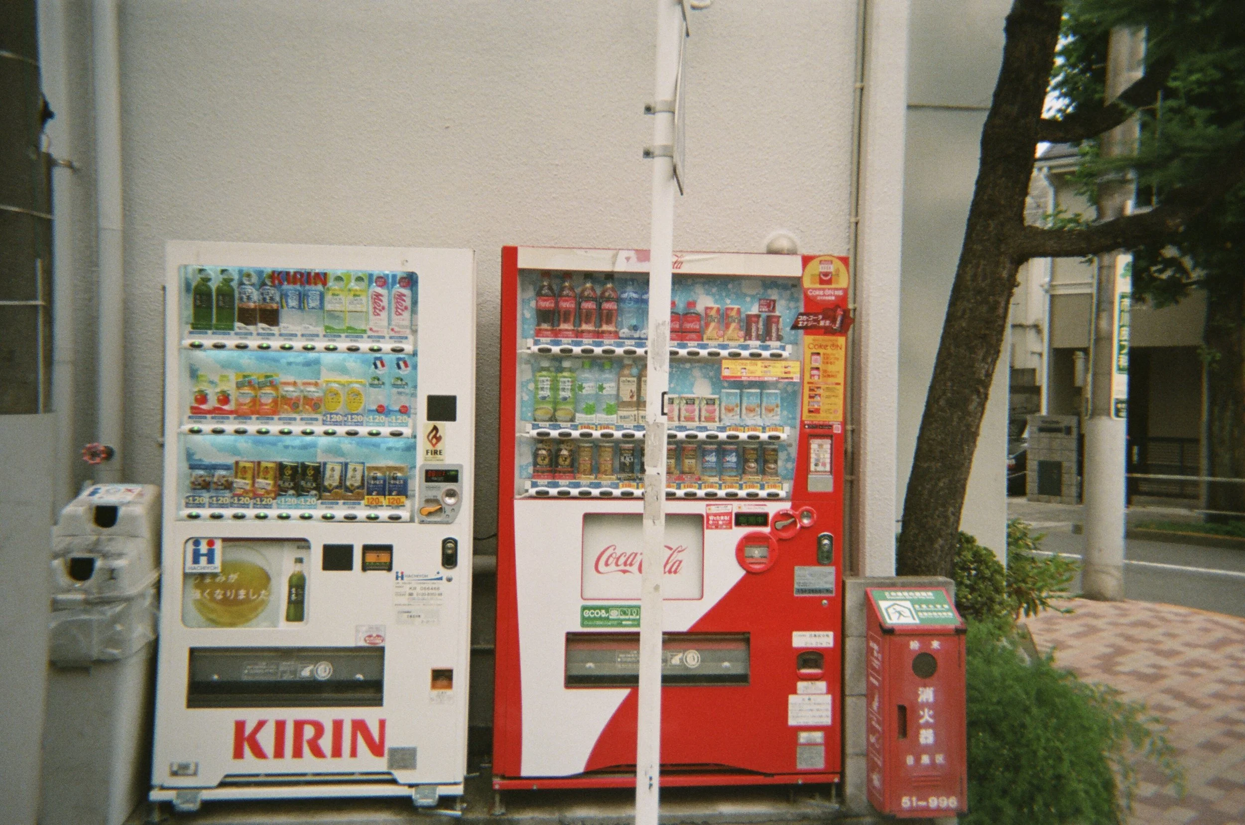 91570026.JPG