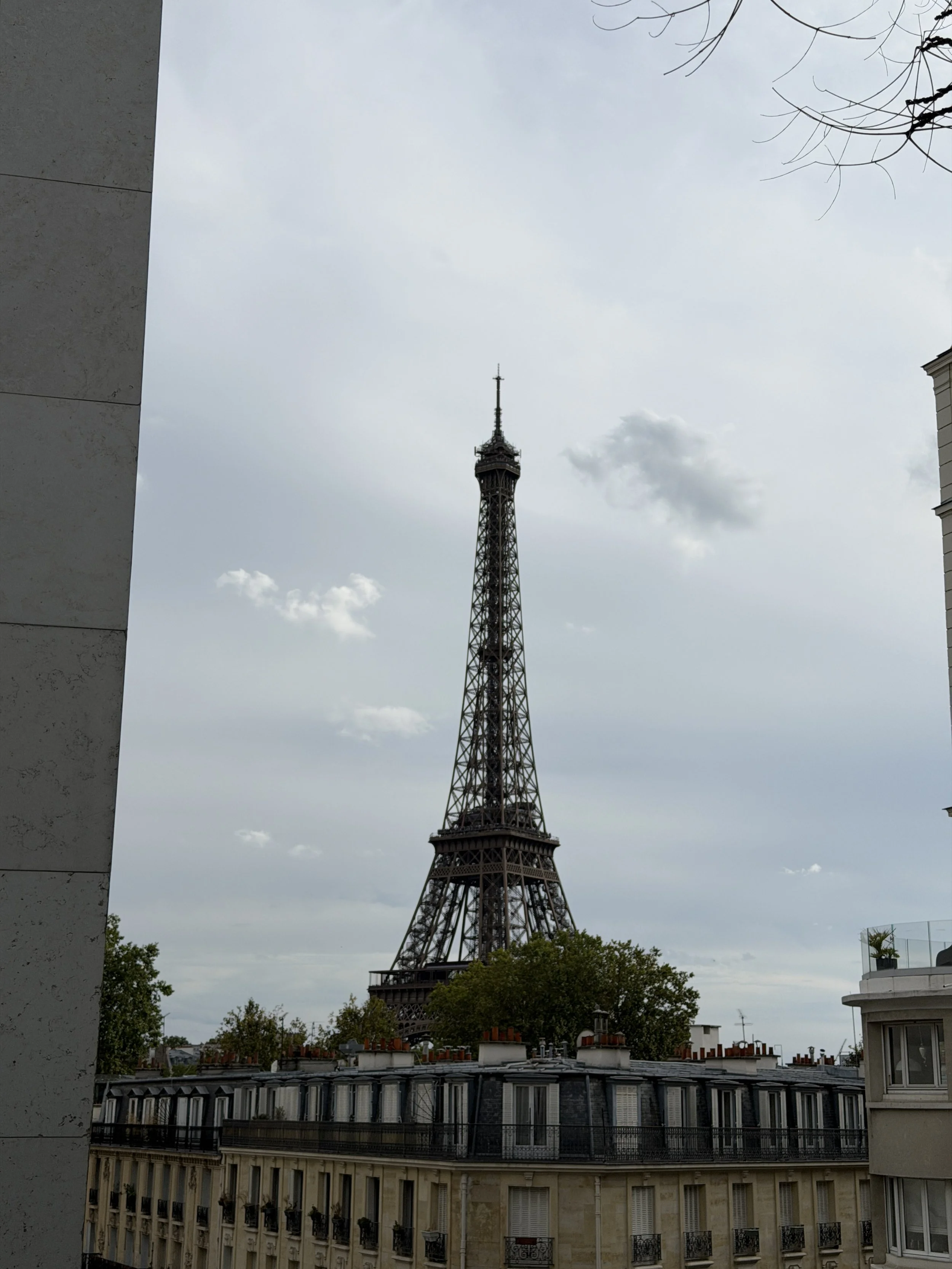 IMG_3891.JPG