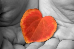 Photo by __ via Flickr Creative Commons.