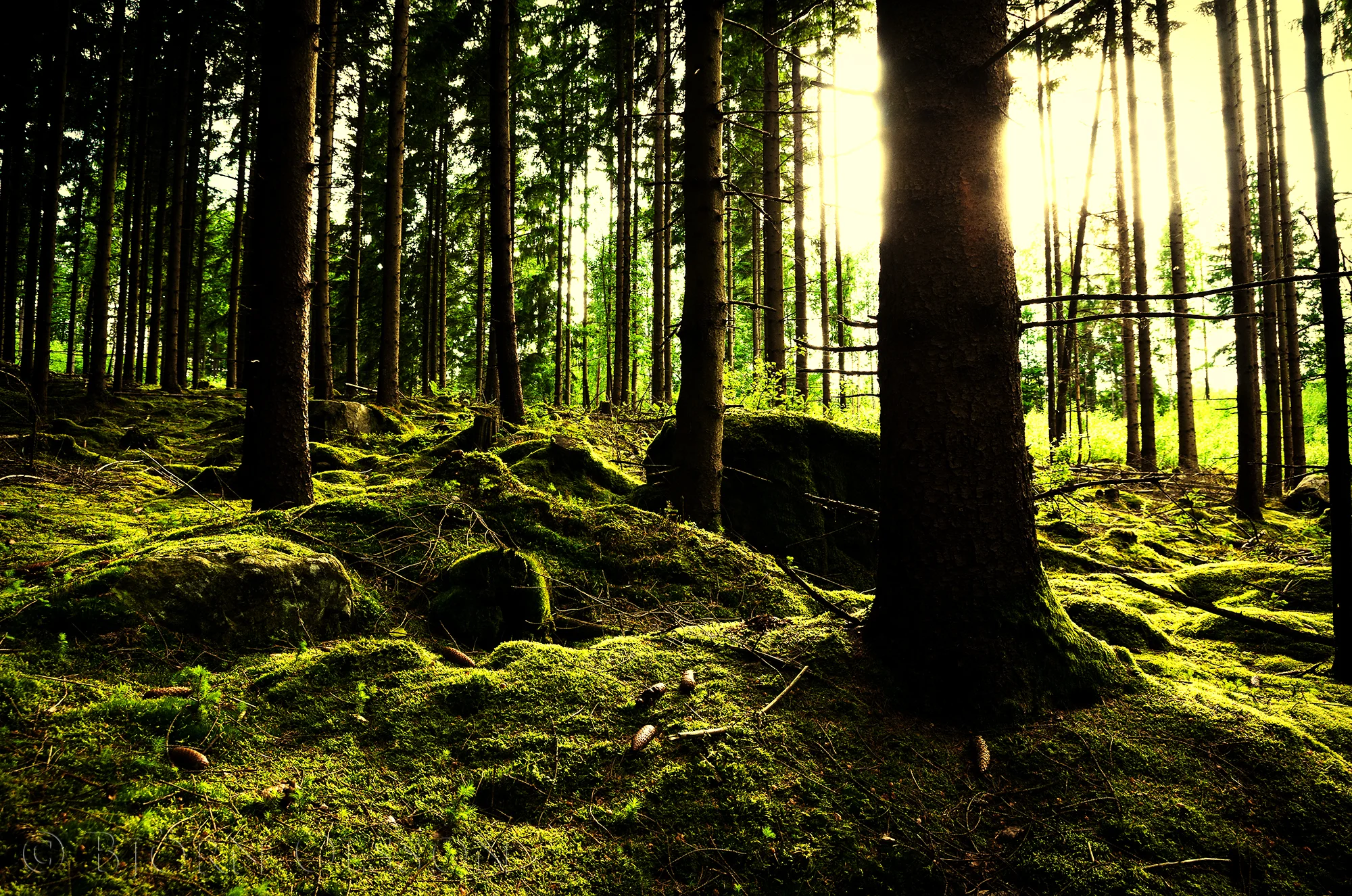 Photo courtesy of Flickr Creative Commons.