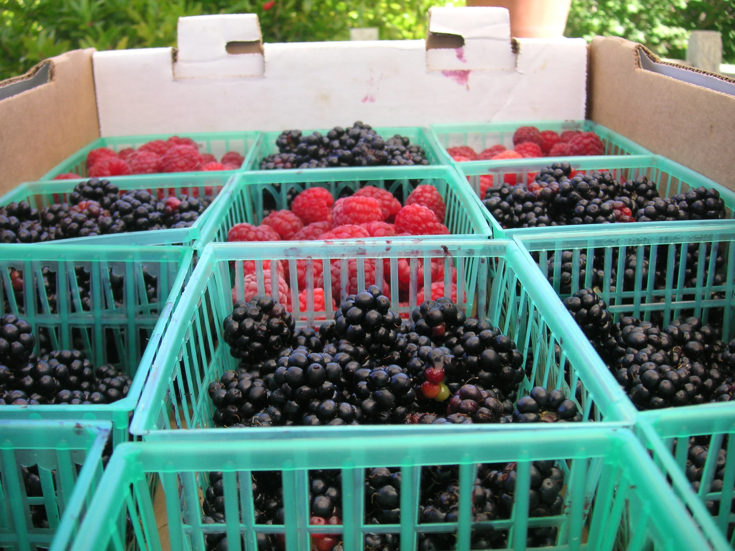 Photo courtesy of Flickr Creative Commons. 