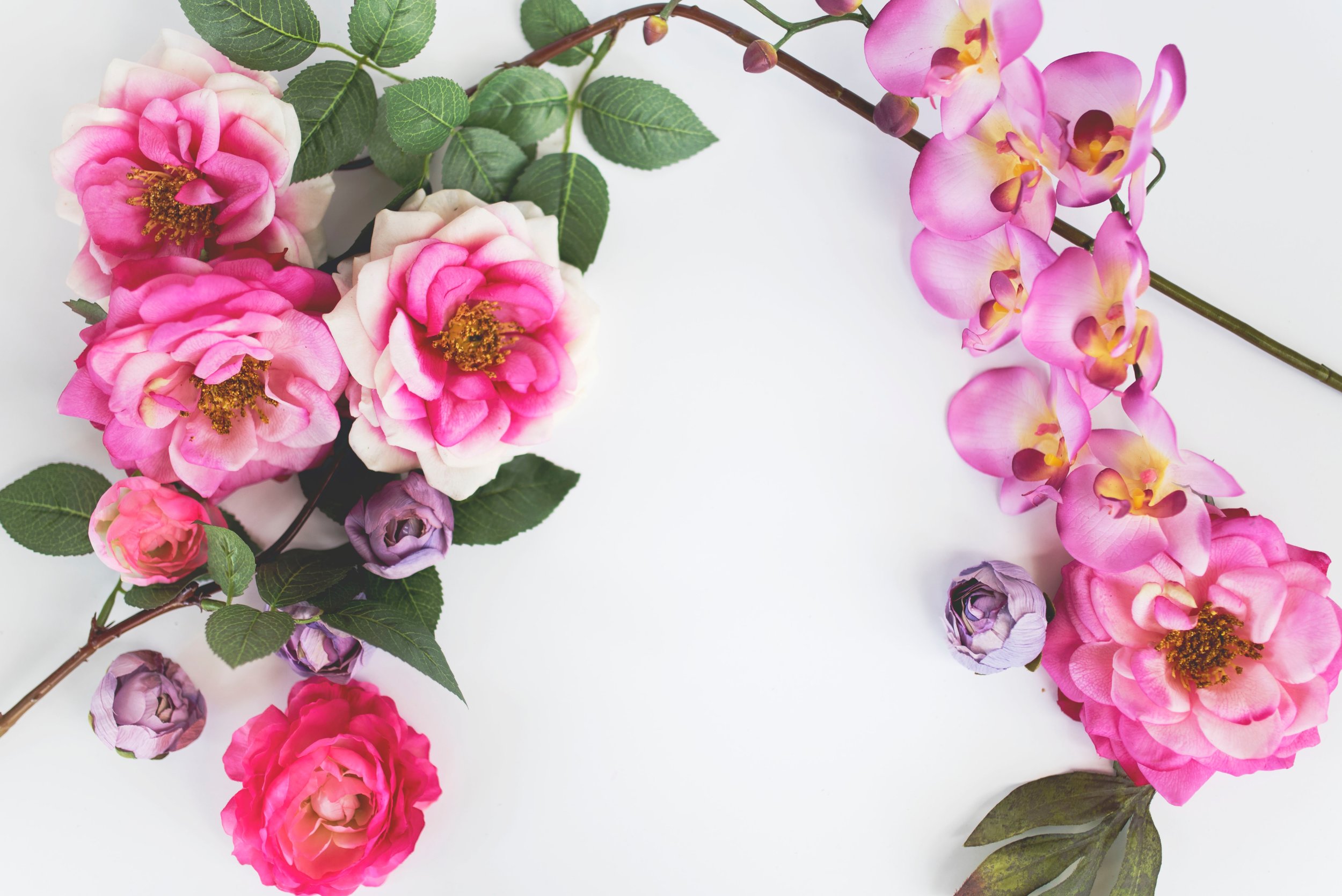 Photo courtesy of Unsplash.