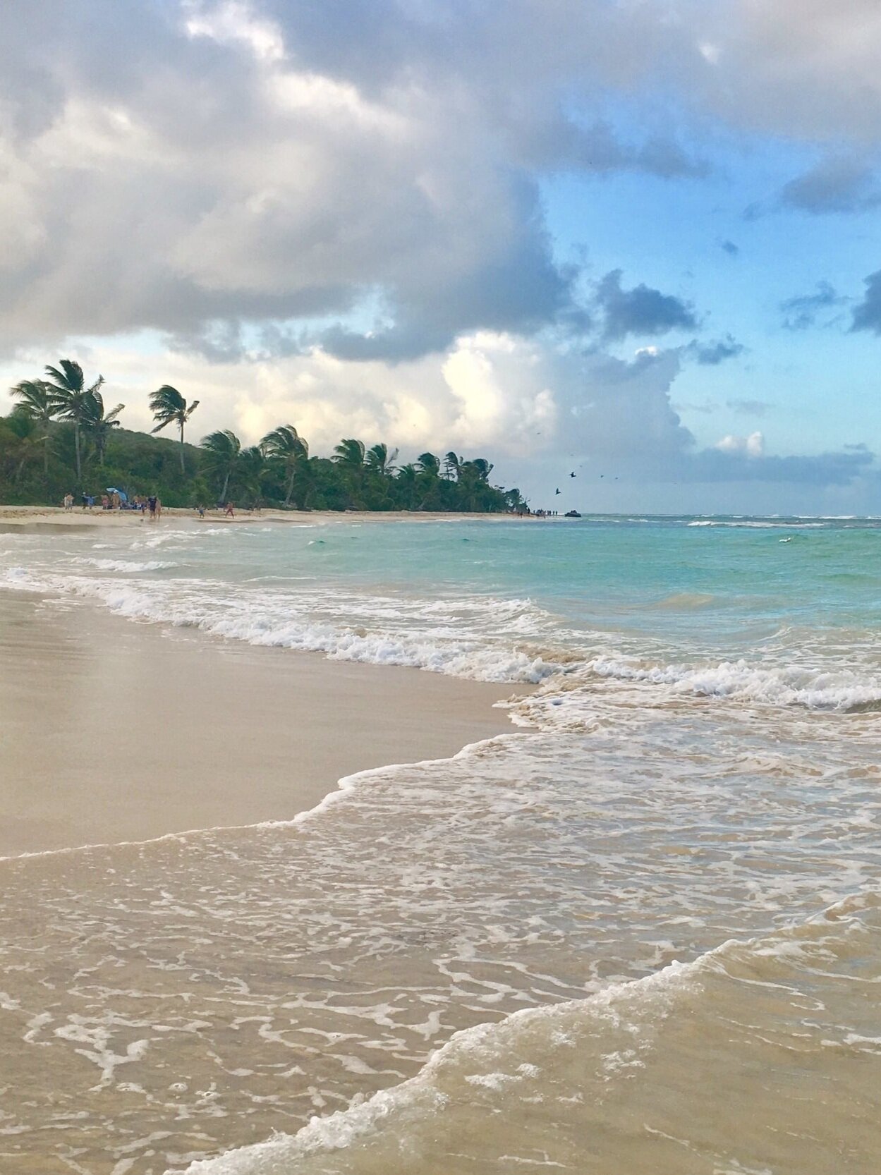 Snorkeling at Flamenco Beach