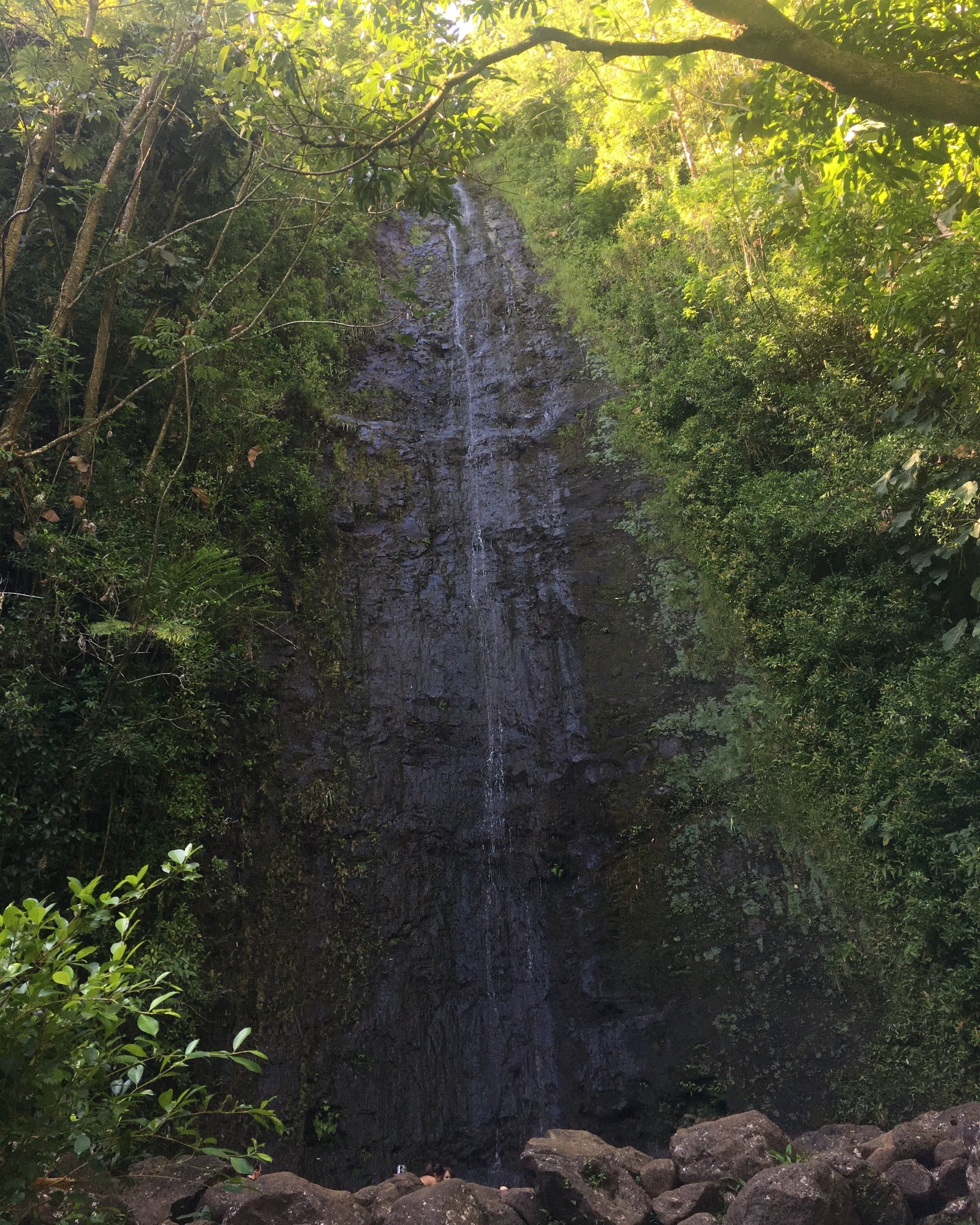 Manoa Falls