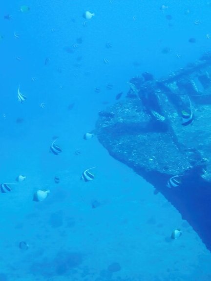 Atlantis Submarine Adventure