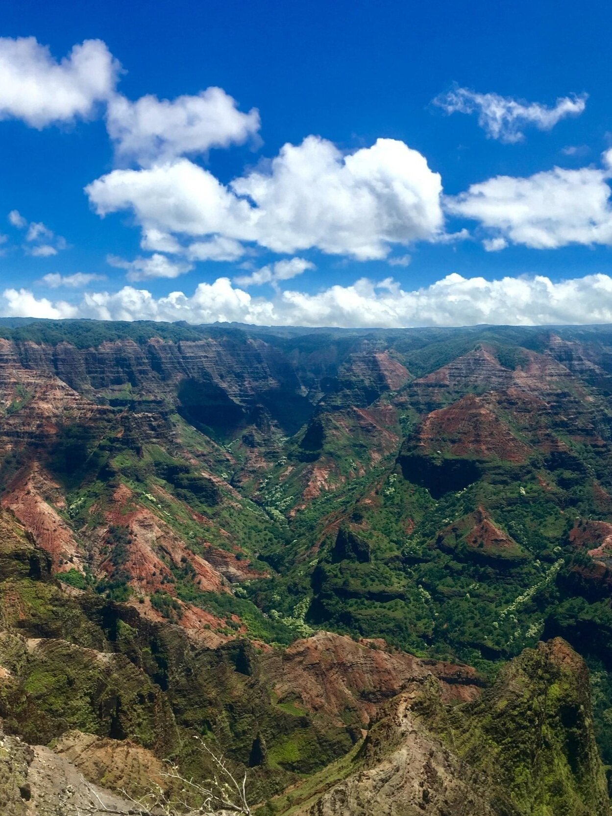 Waimea Canyon Sate Park 