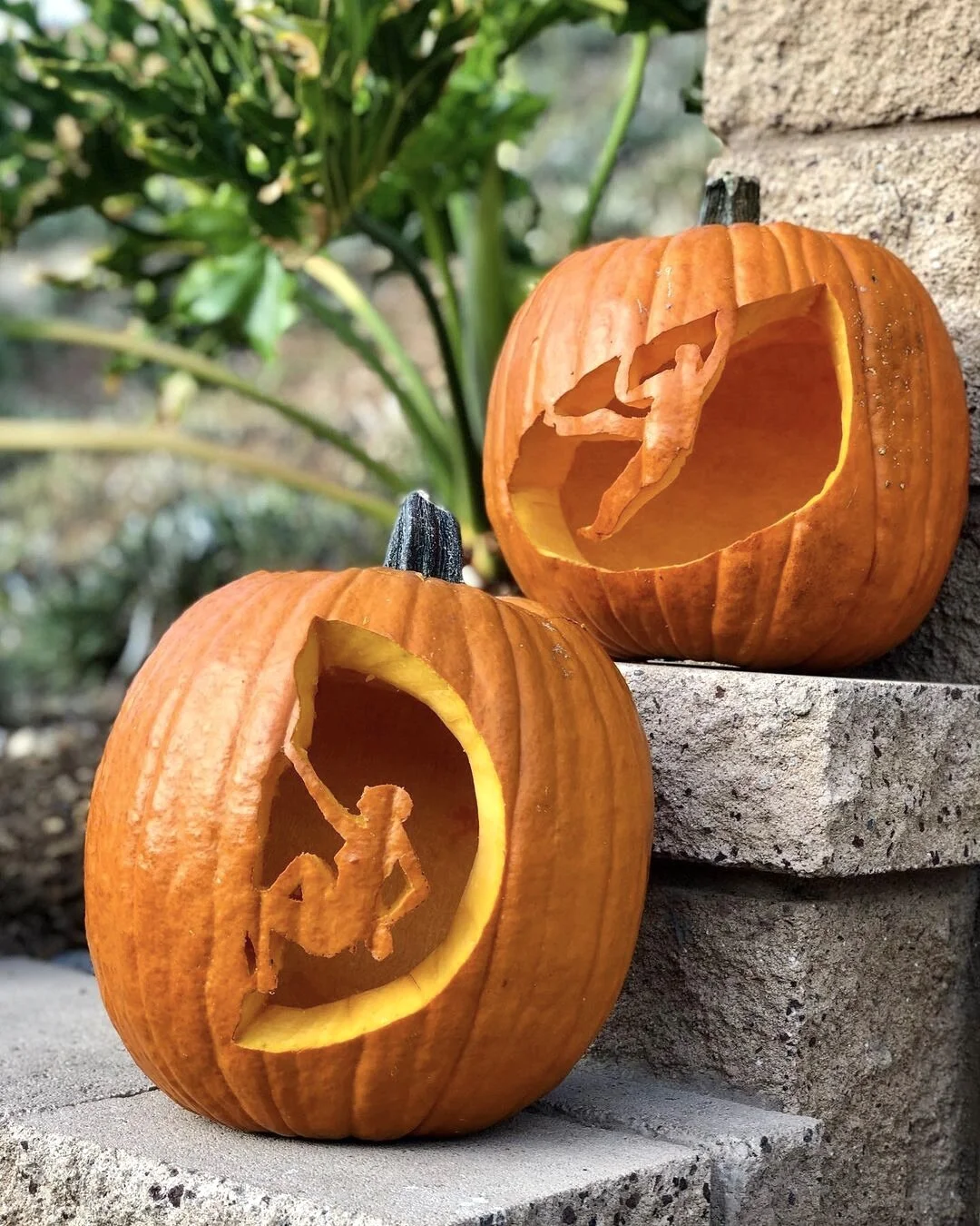 The Climbing Enthusiasts.  Design by @minttinadventures