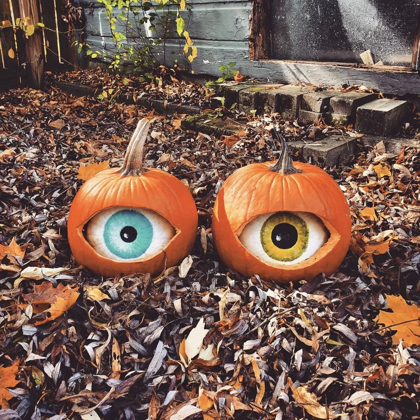 Big eye pumpkin.  Design by @nowheredan
