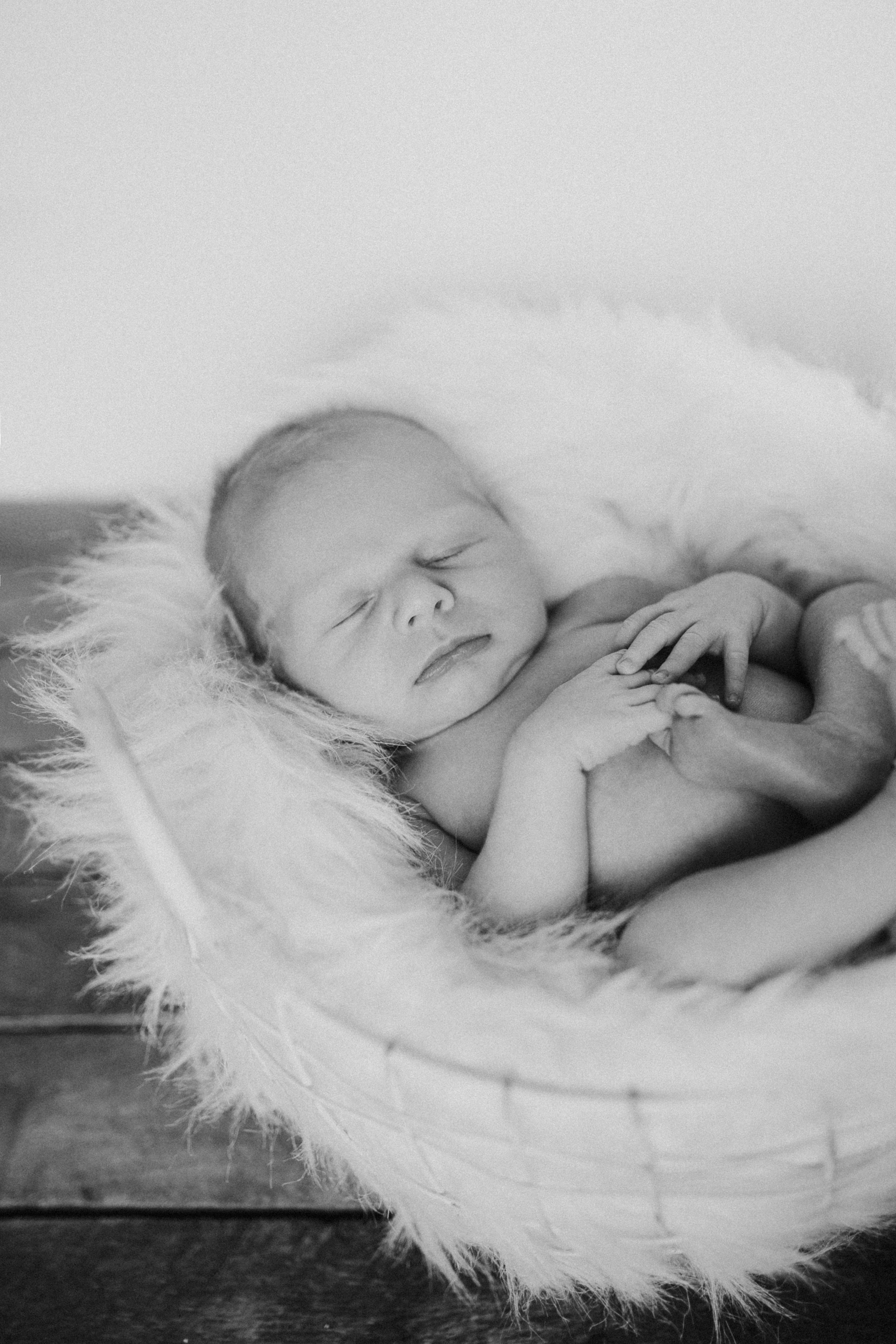 newborn photographers near me