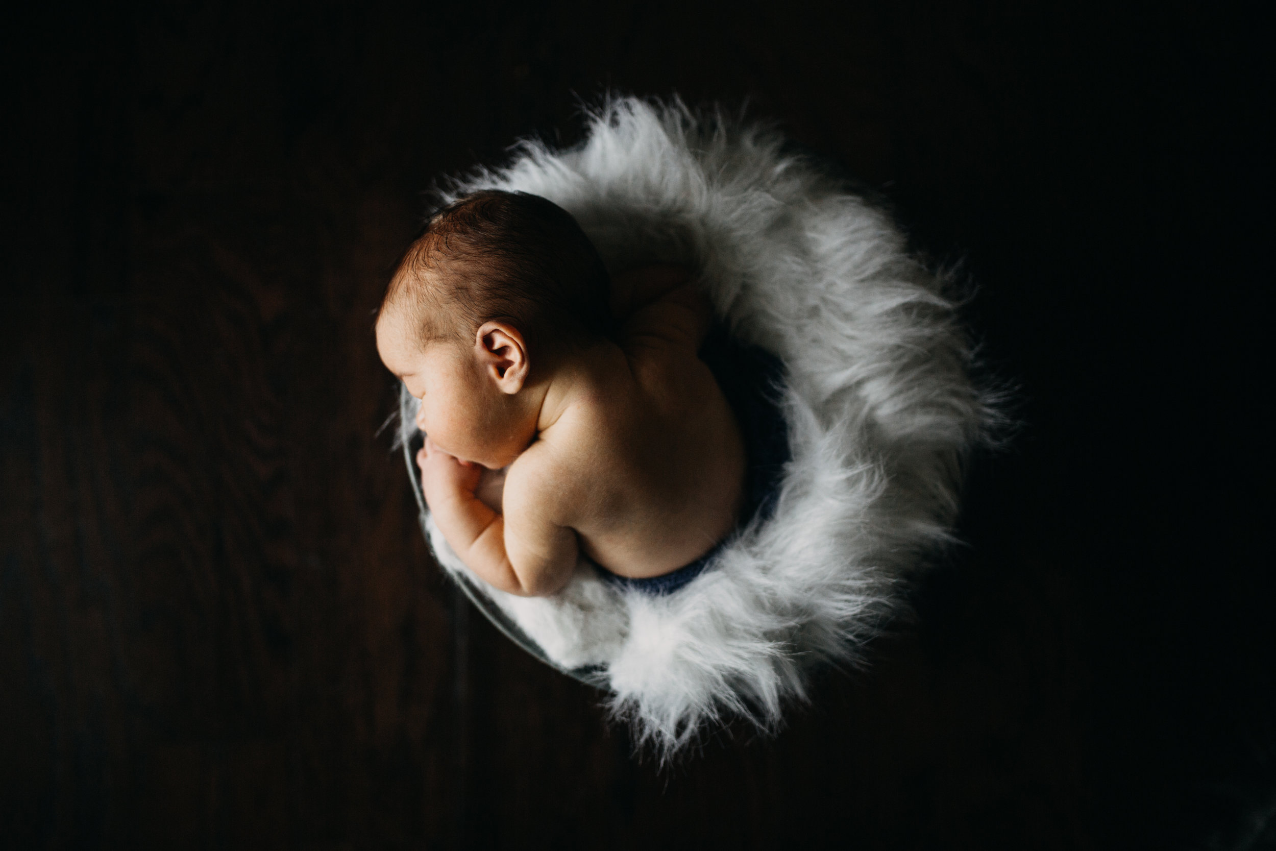 newborn photographer in springfield mo