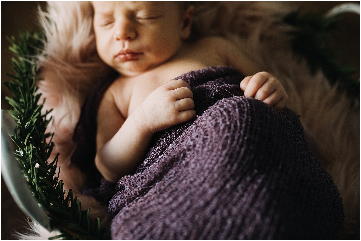 newborn portrait photography springfield mo