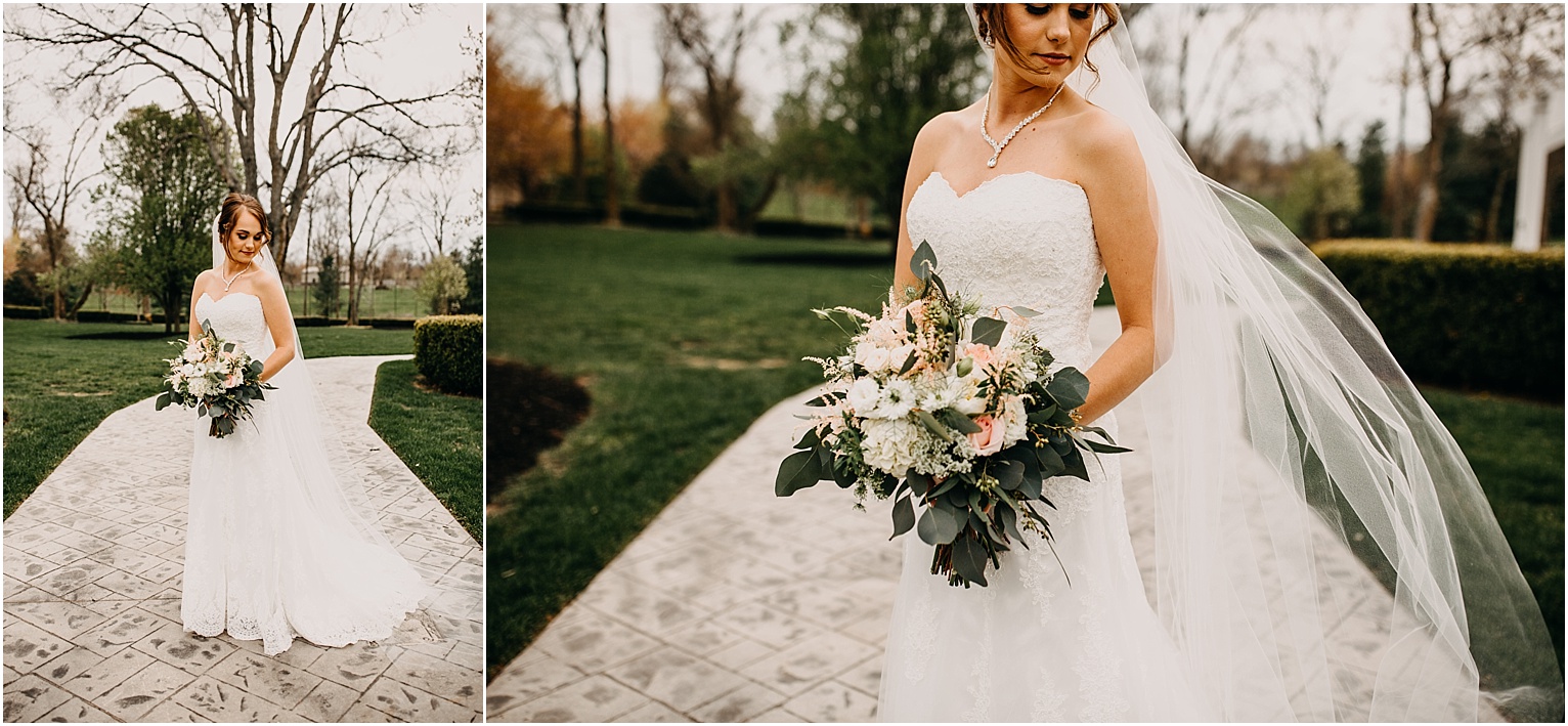 professional photographers springfield mo