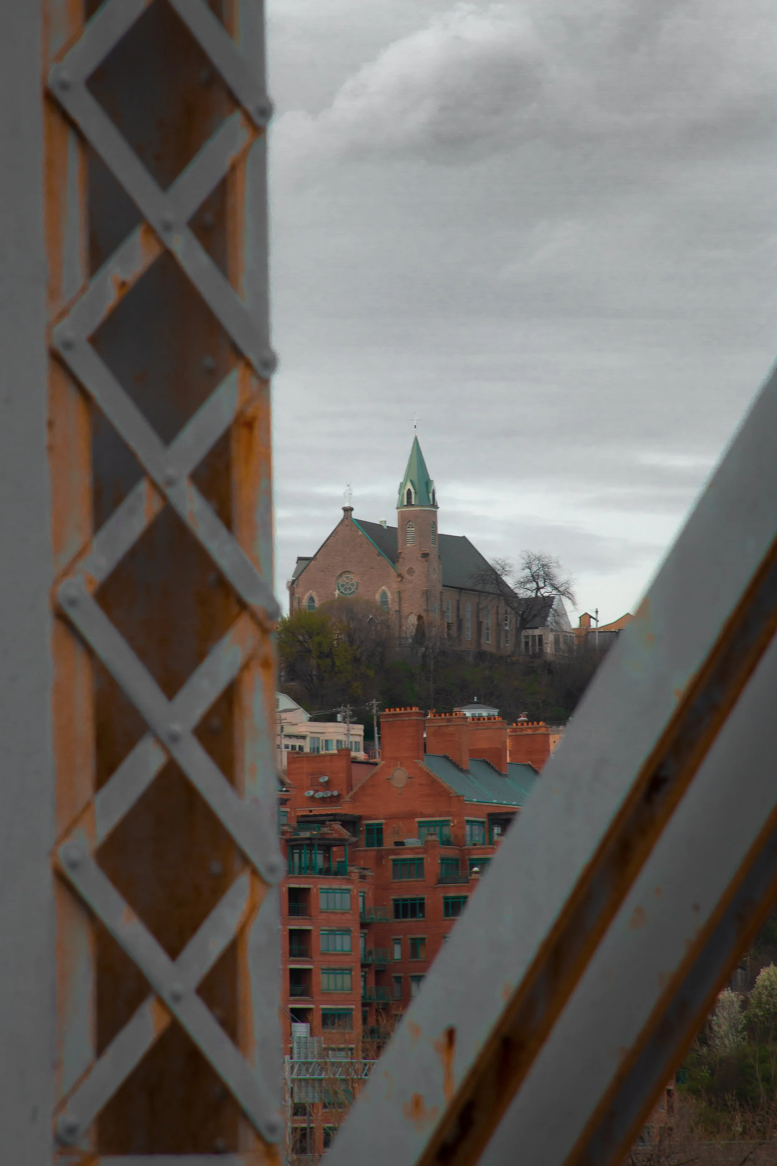 IMG_4331.jpg