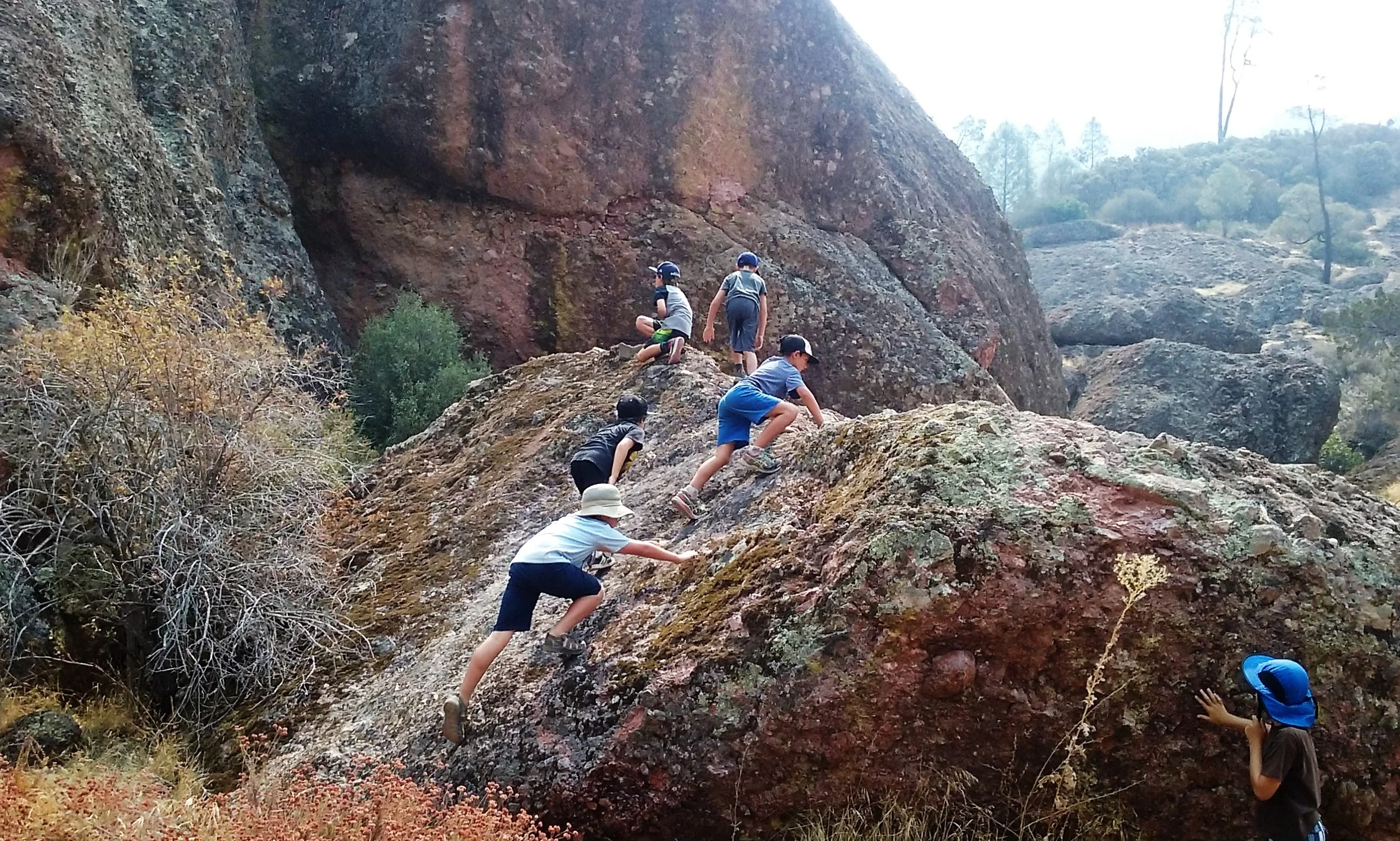 20160818_112133.jpg