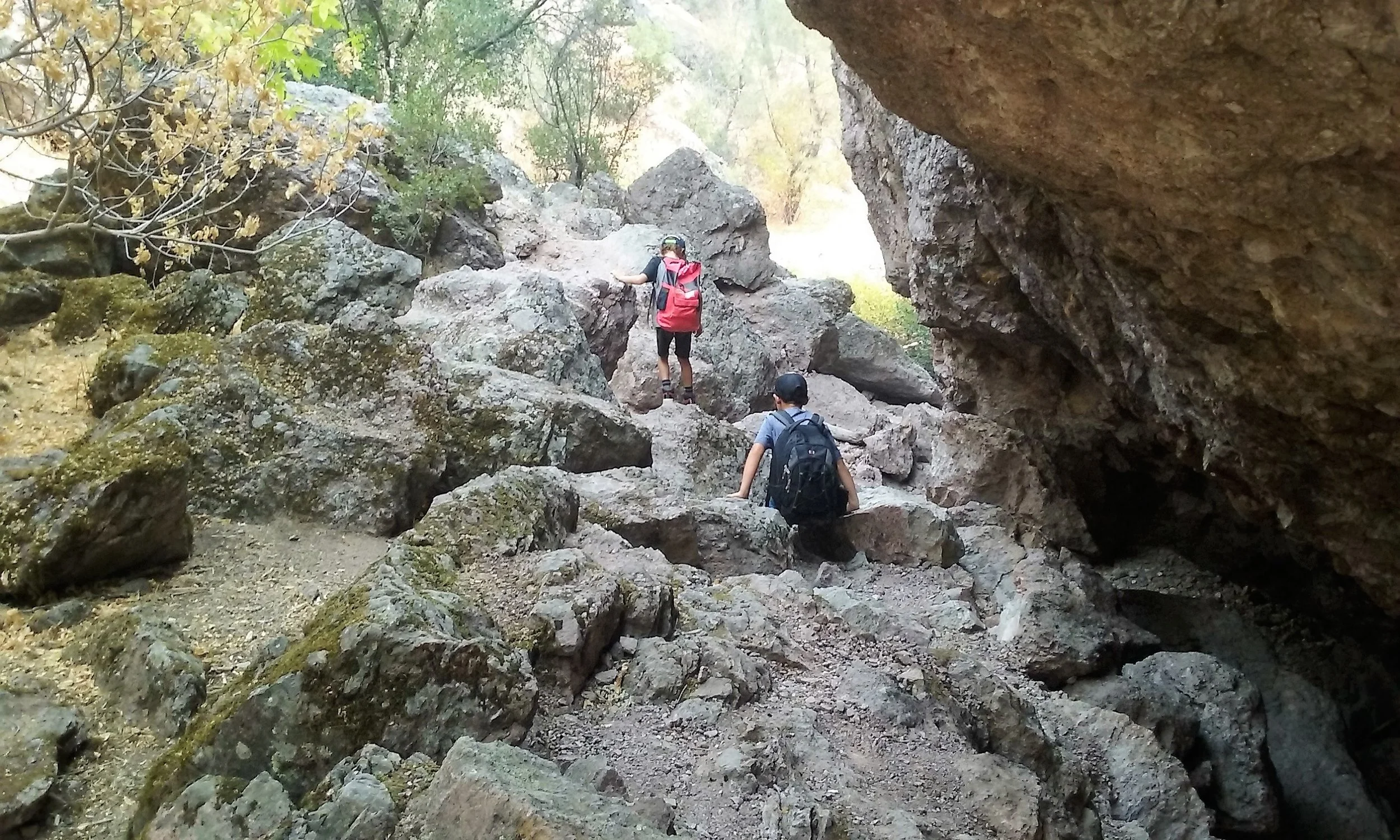 20160818_113001.jpg