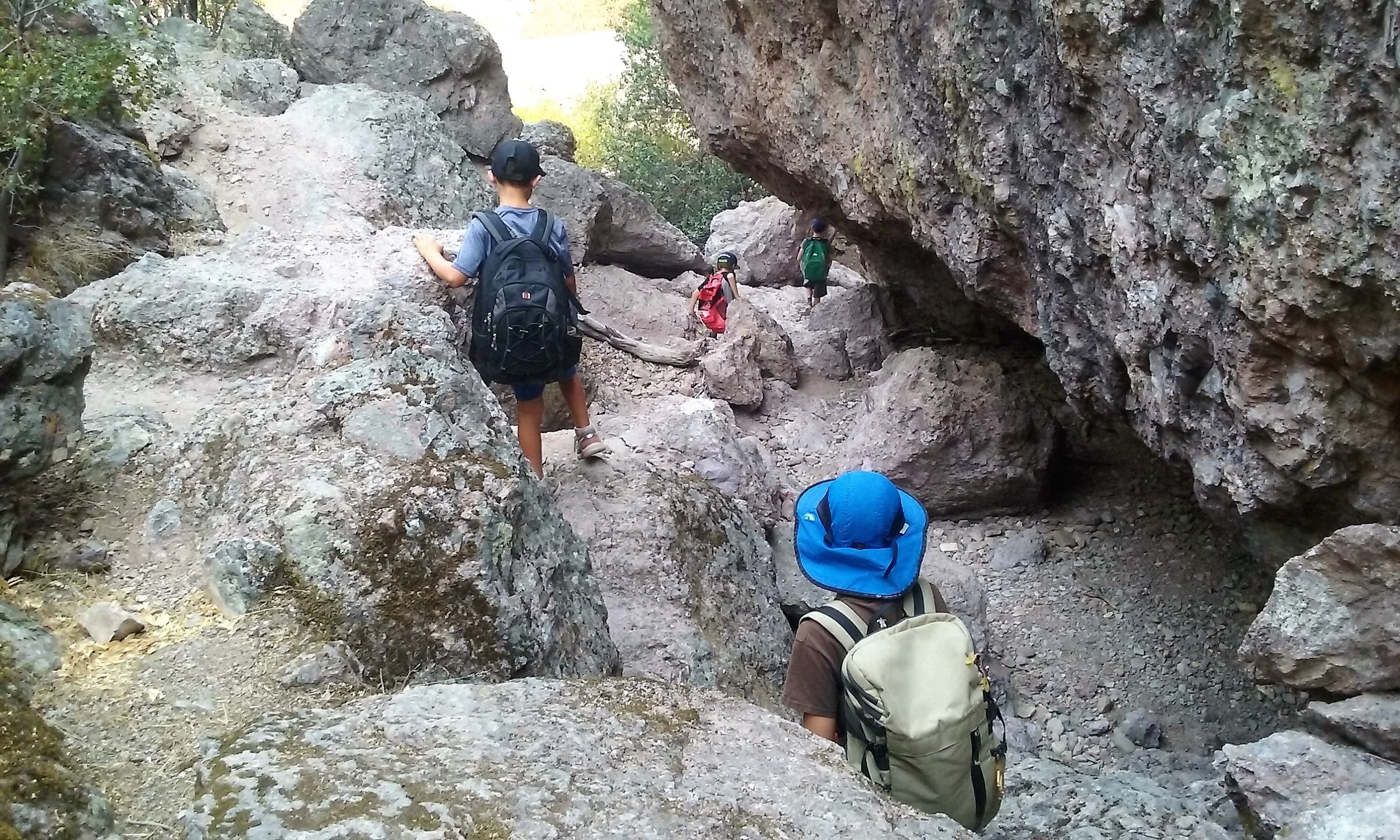 20160818_113015.jpg