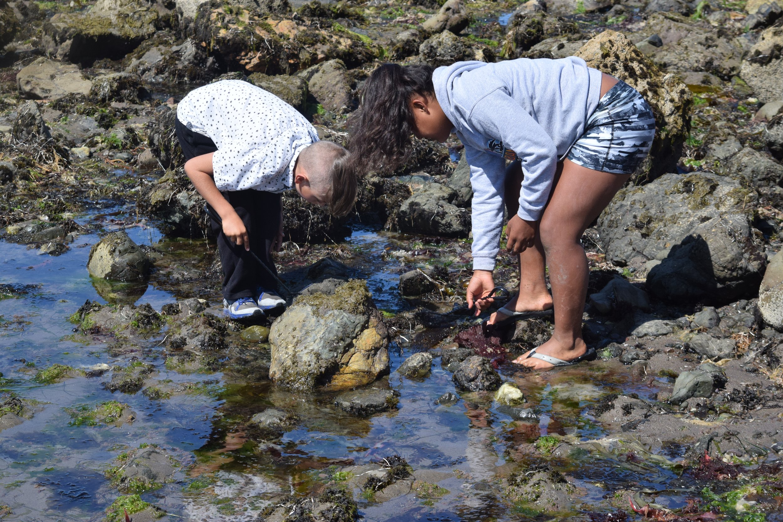 Where the Shoreline meets the Bay Mon-Fri 8:30am-2:30pm 1st grade and above June 16-19, 2026