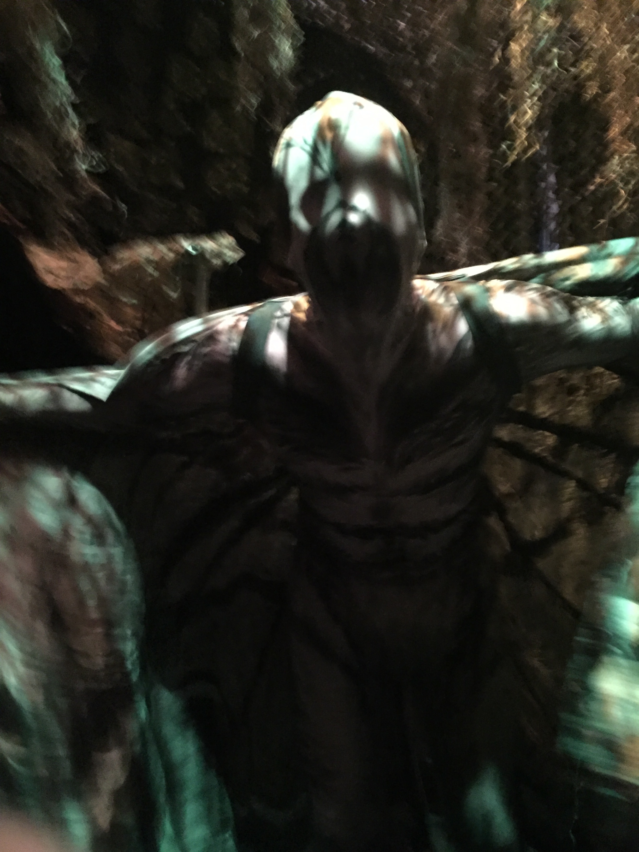Mothman Room 2017
