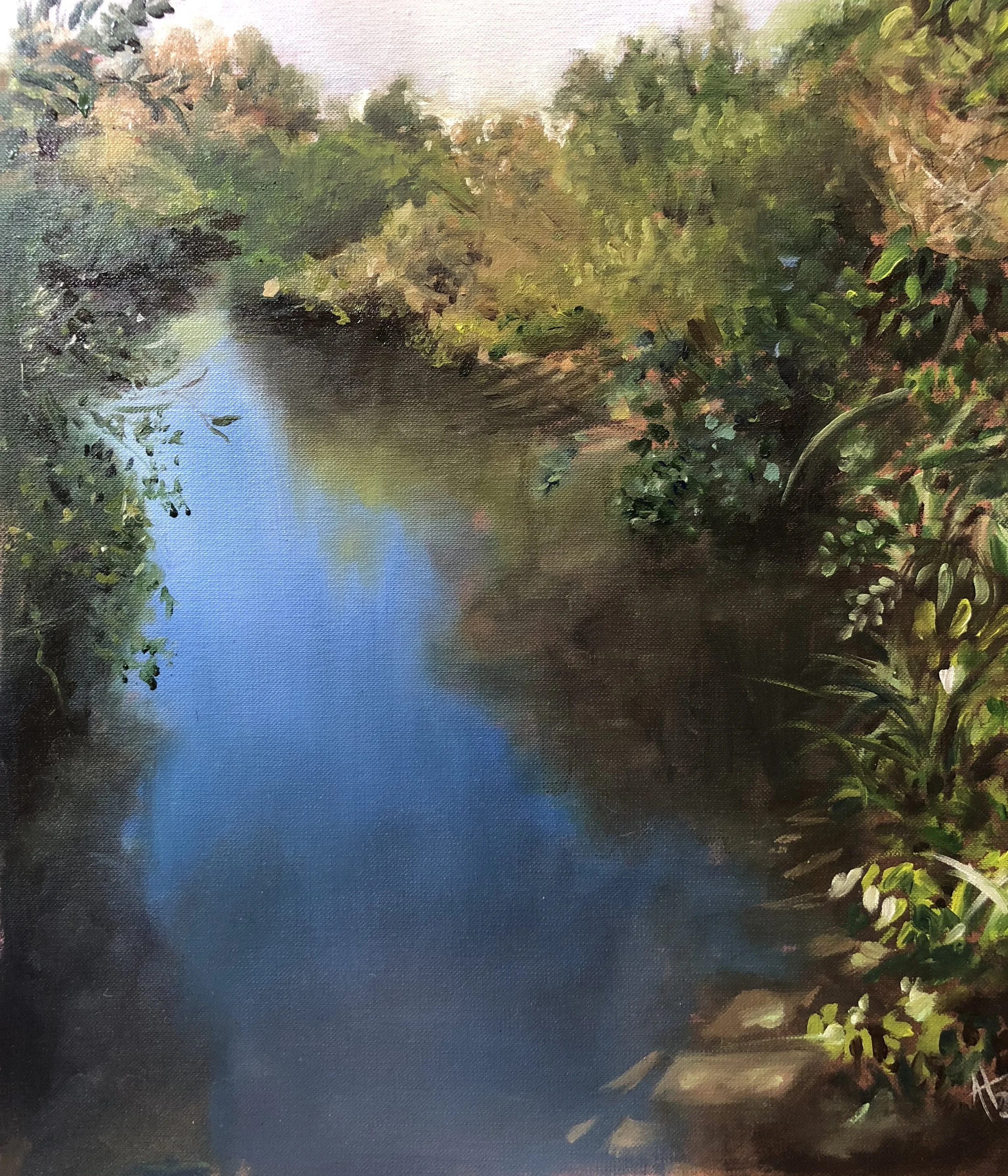 The sky in the waters