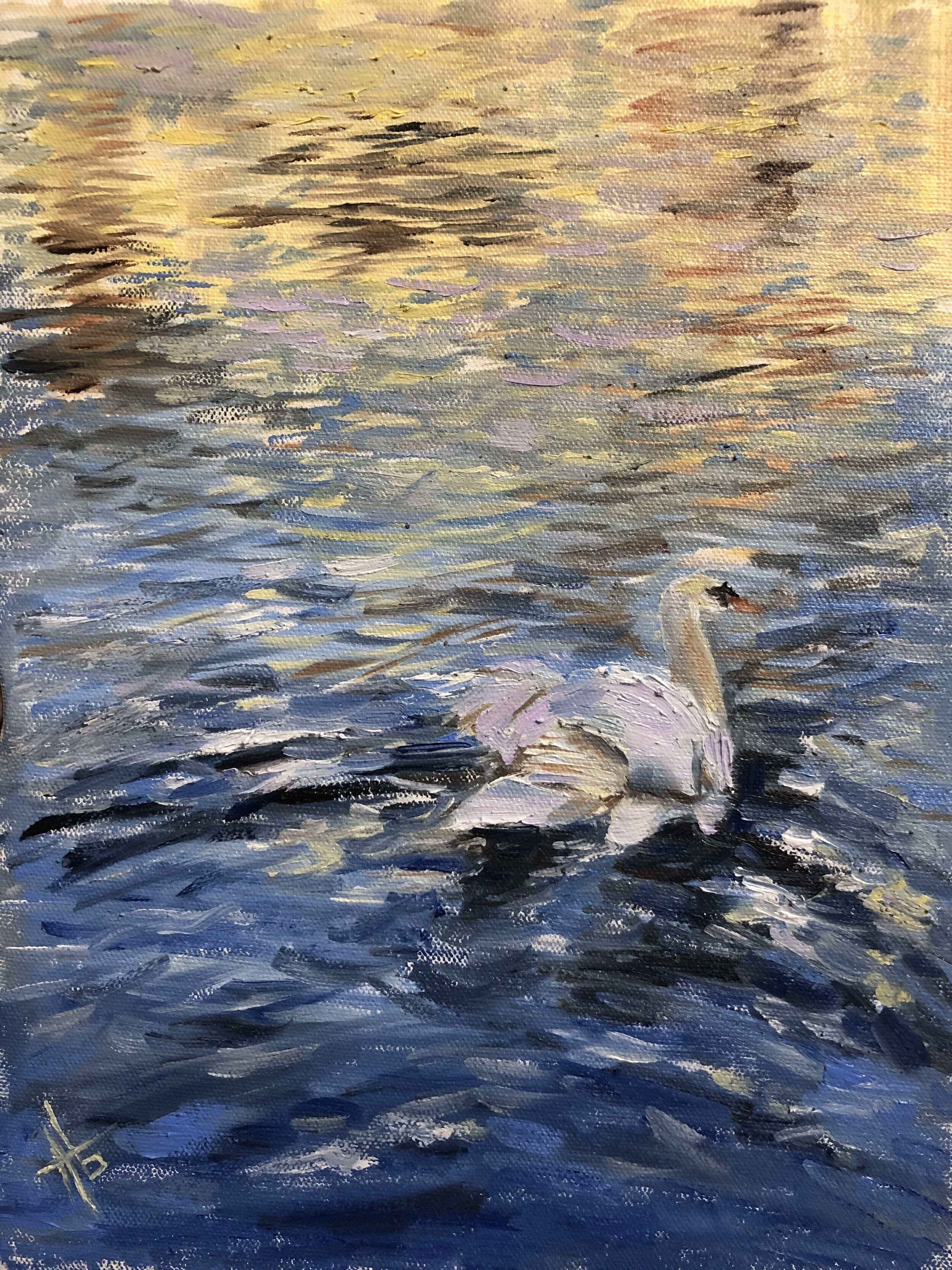 Ripples