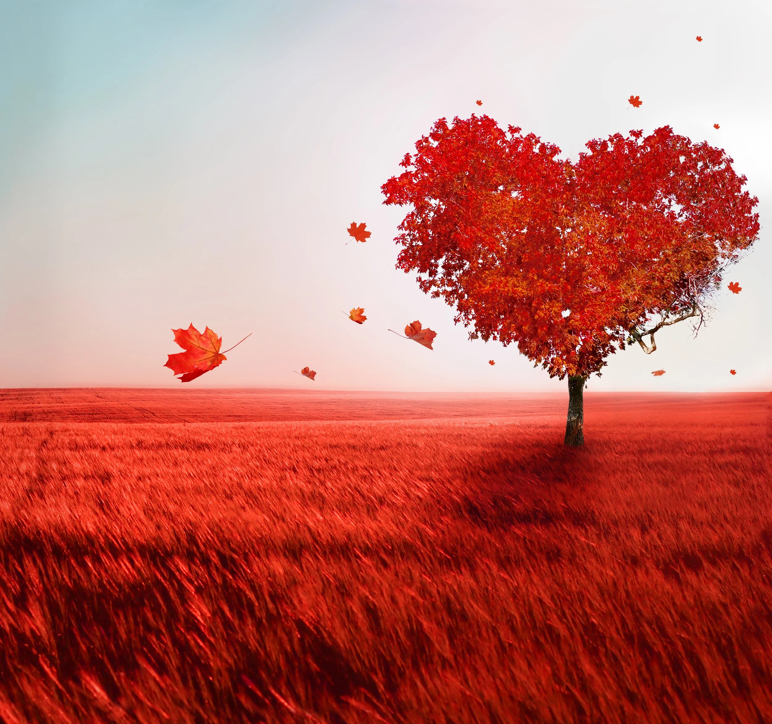 bigstock-Tree-of-love-51256813.jpg