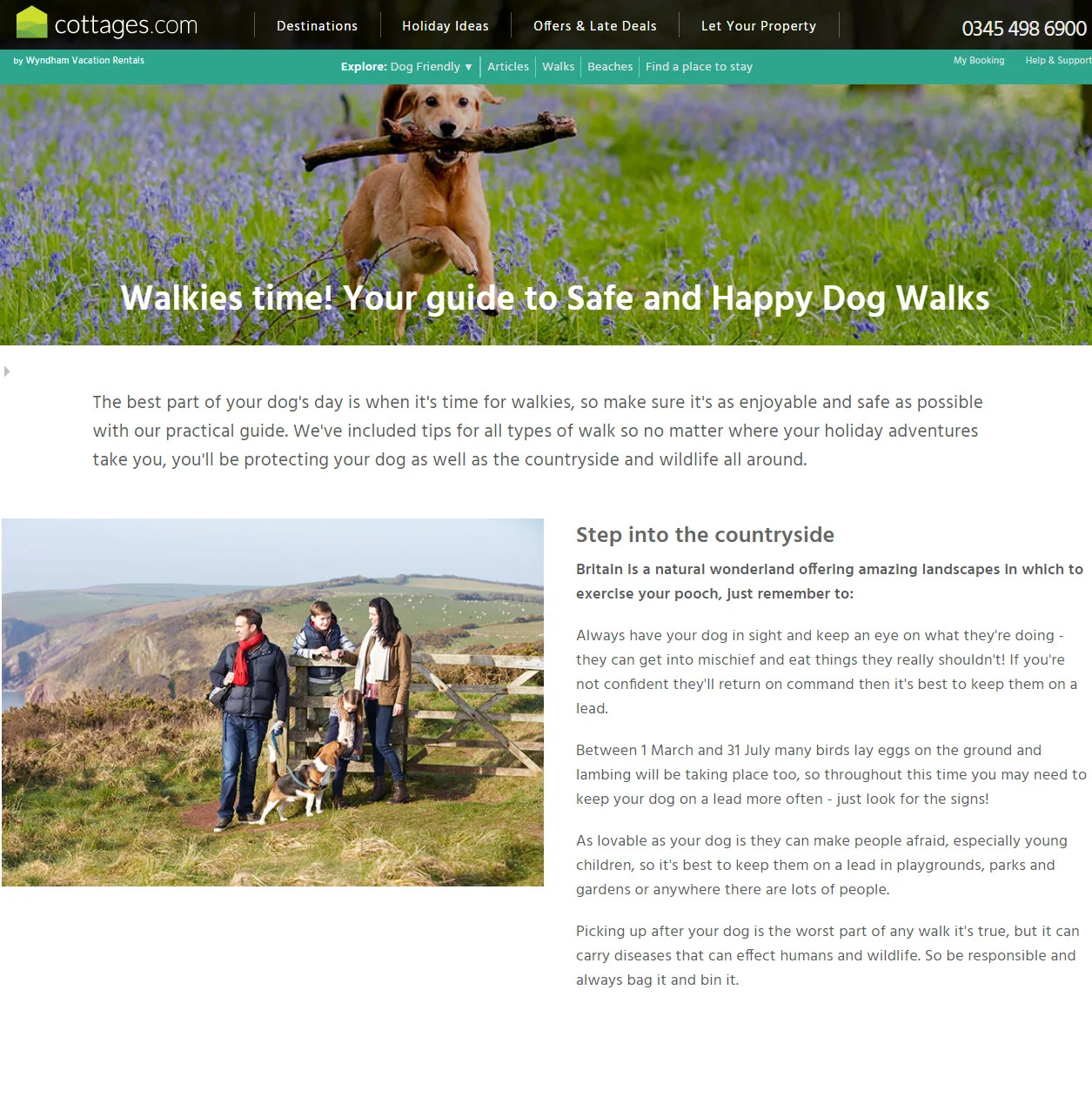 Happy Dog Walks1.jpg