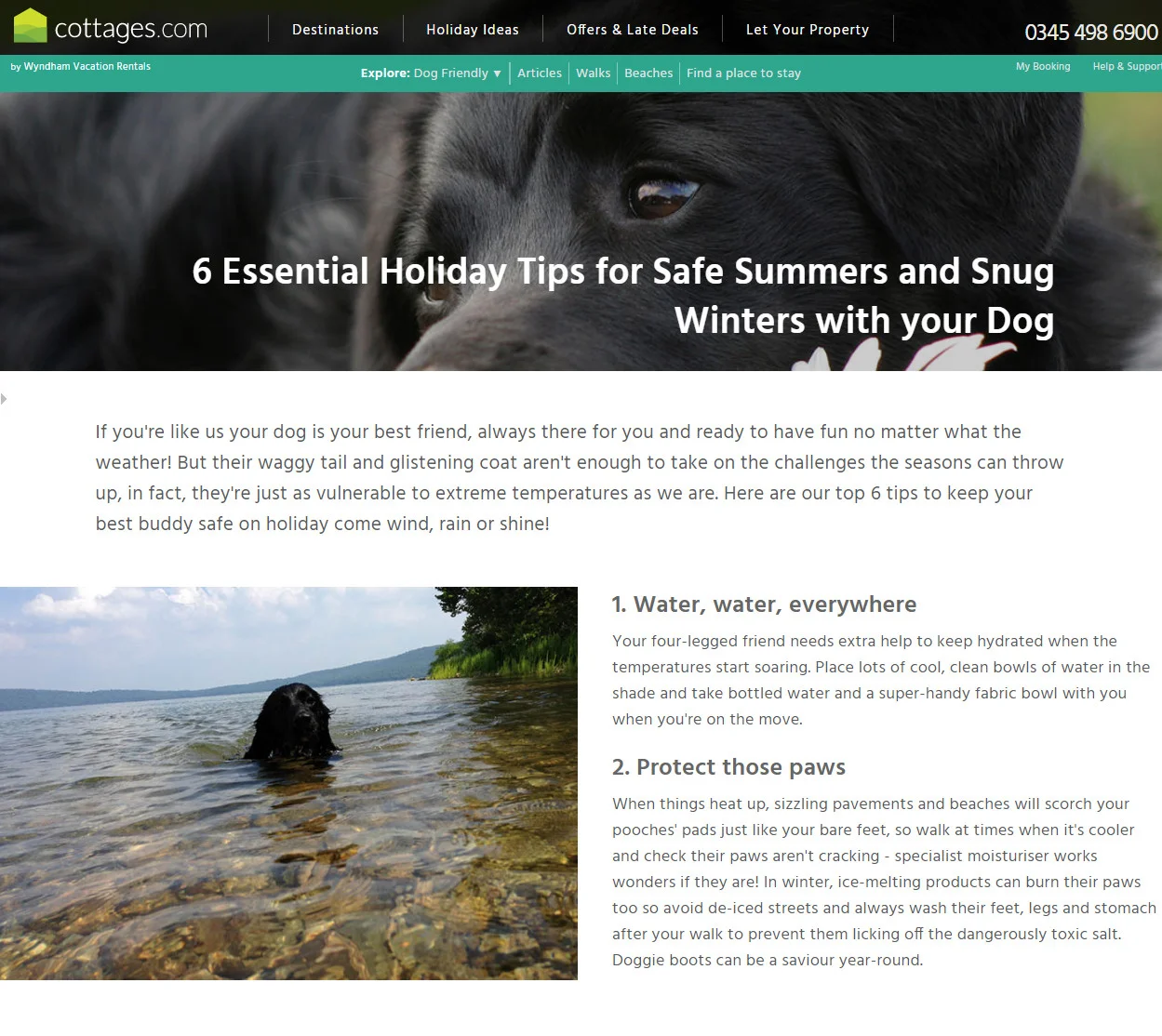6 essential holiday tips.jpg