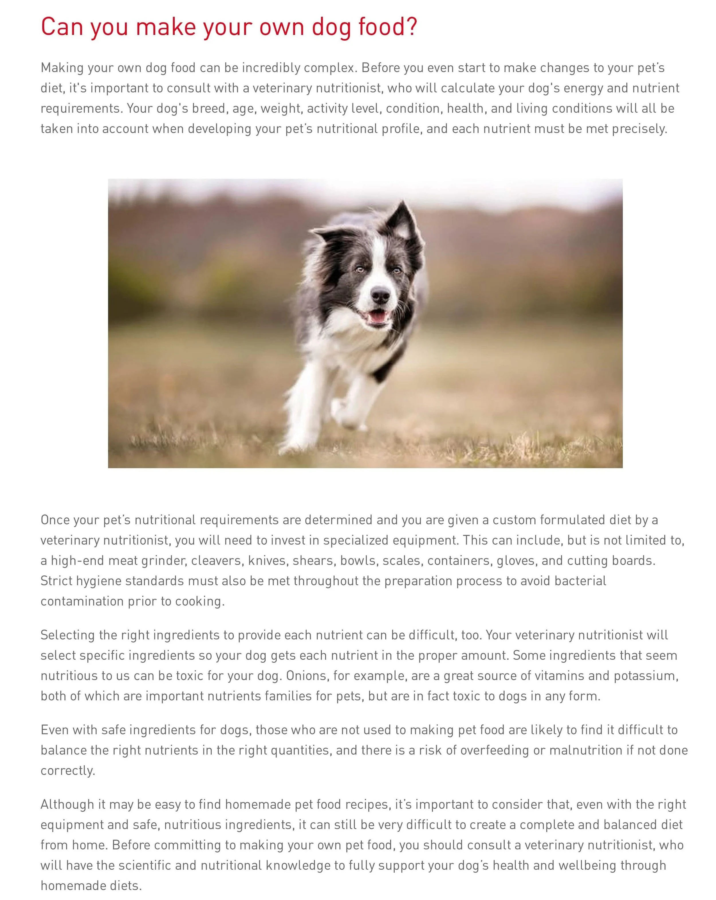 Royal Canin Copywriting Homemade Dog Food 3-min.jpg