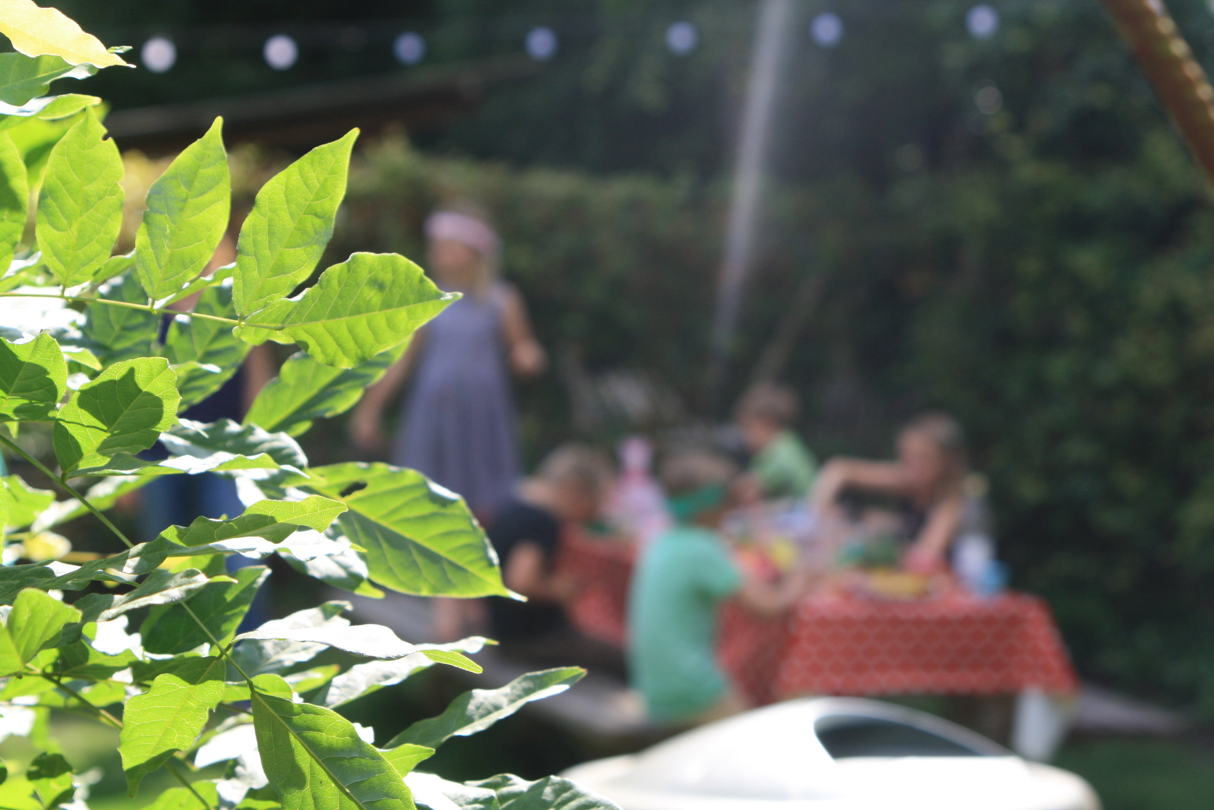  Verjaardagsfeestje op de Kriekenhof, knutselen. 
