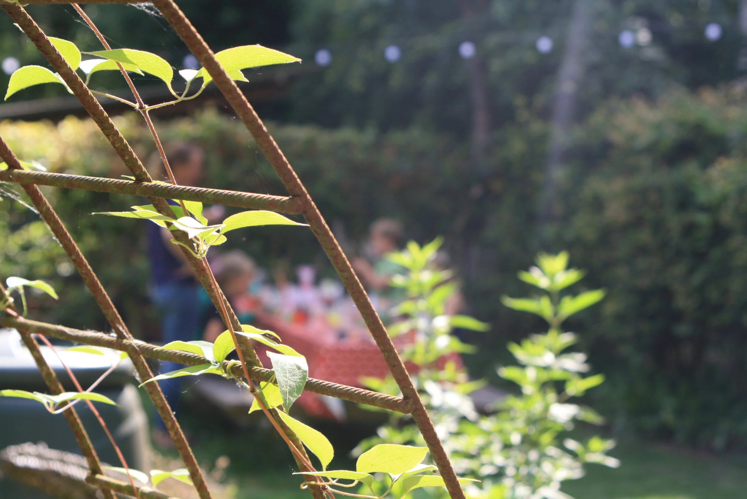  De Kriekenhof:&nbsp;een oase van rust in de natuur, omringd door dieren worden hier verjaardagsfeestjes georganiseerd. 