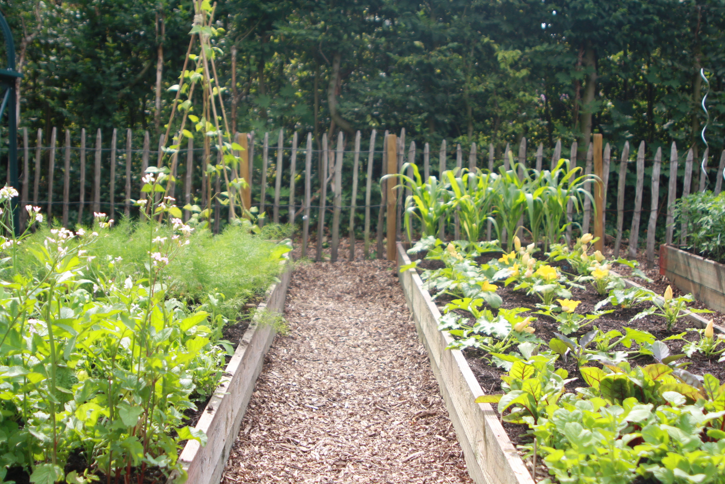  De Kriekenhof:&nbsp;een oase van rust in de natuur, omringd door dieren worden hier verjaardagsfeestjes georganiseerd. 