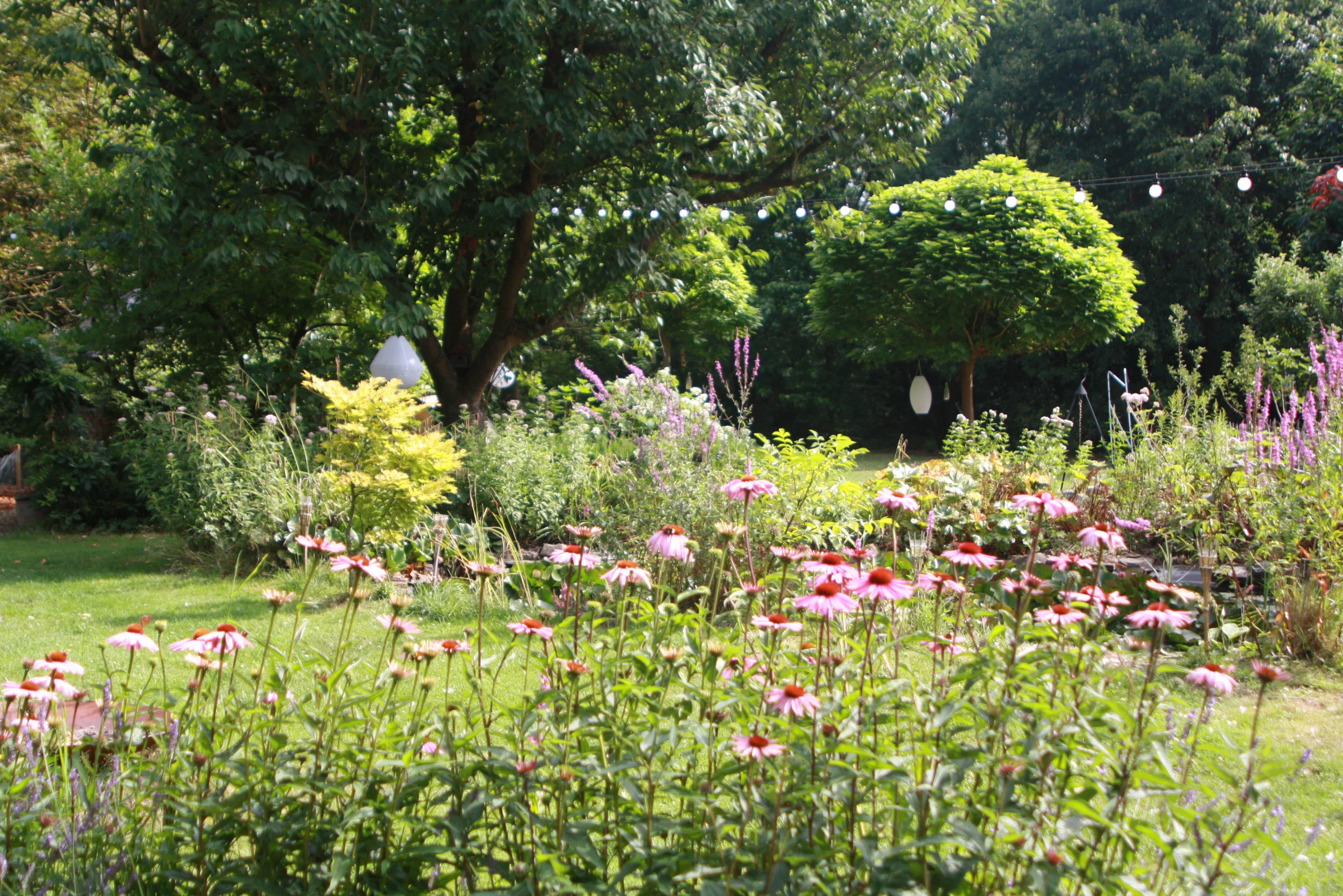  De Kriekenhof:&nbsp;een oase van rust in de natuur, omringd door dieren worden hier verjaardagsfeestjes georganiseerd. 